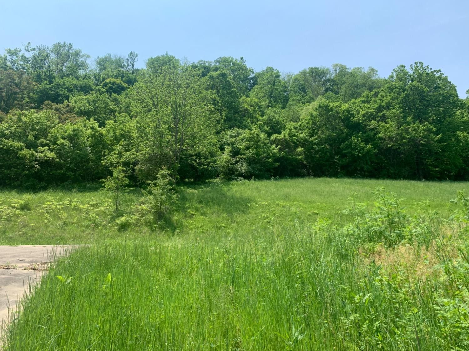 Aurora, Ohio County, IN Undeveloped Land for sale Property ID