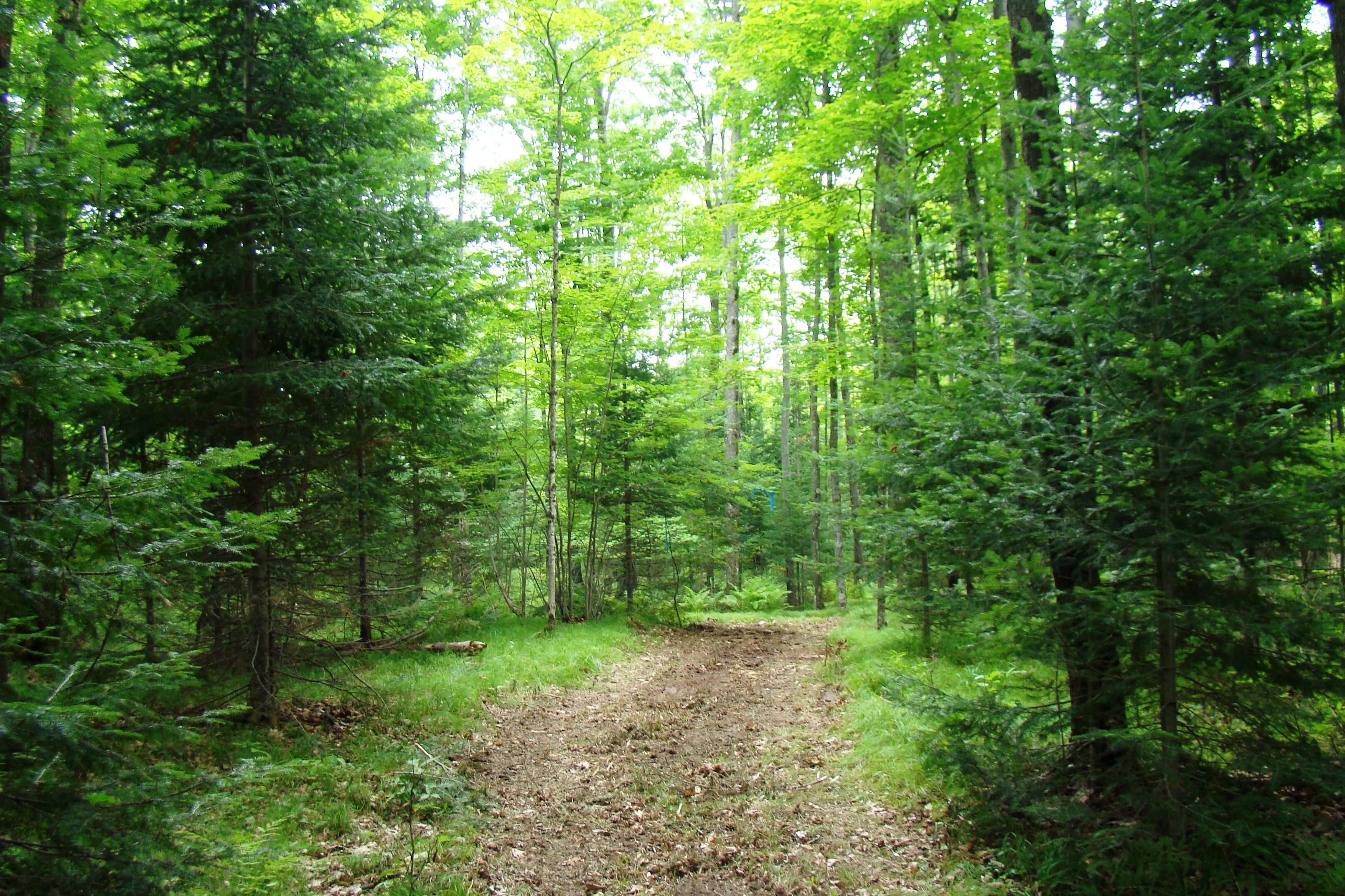 Florence, Florence County, WI Recreational Property, Hunting Property