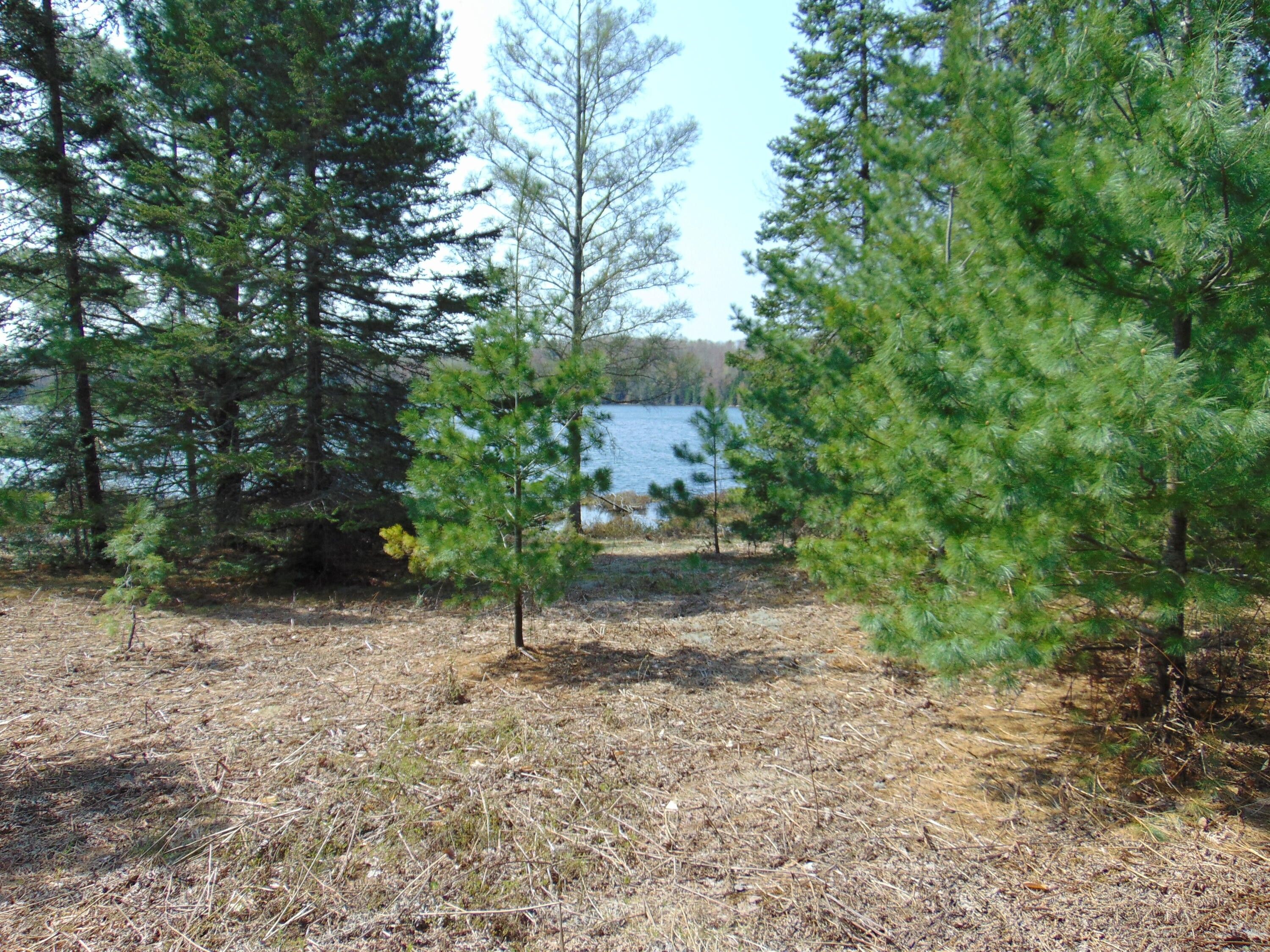 Newberry, Luce County, MI Undeveloped Land, Lakefront Property