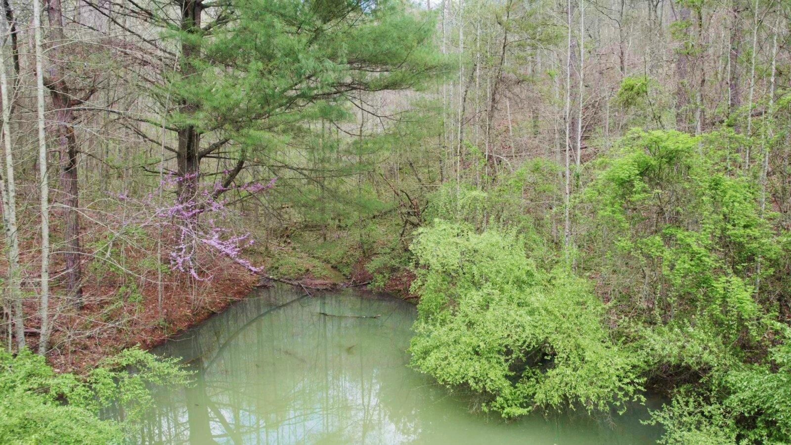 Campton, Wolfe County, KY Recreational Property, Undeveloped Land for