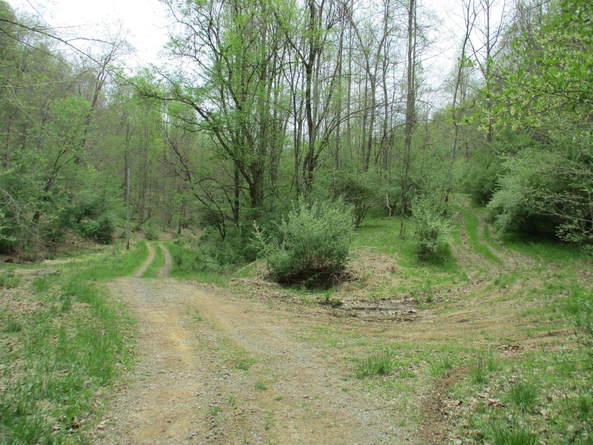 Glenville, Gilmer County, WV Undeveloped Land for sale Property ID