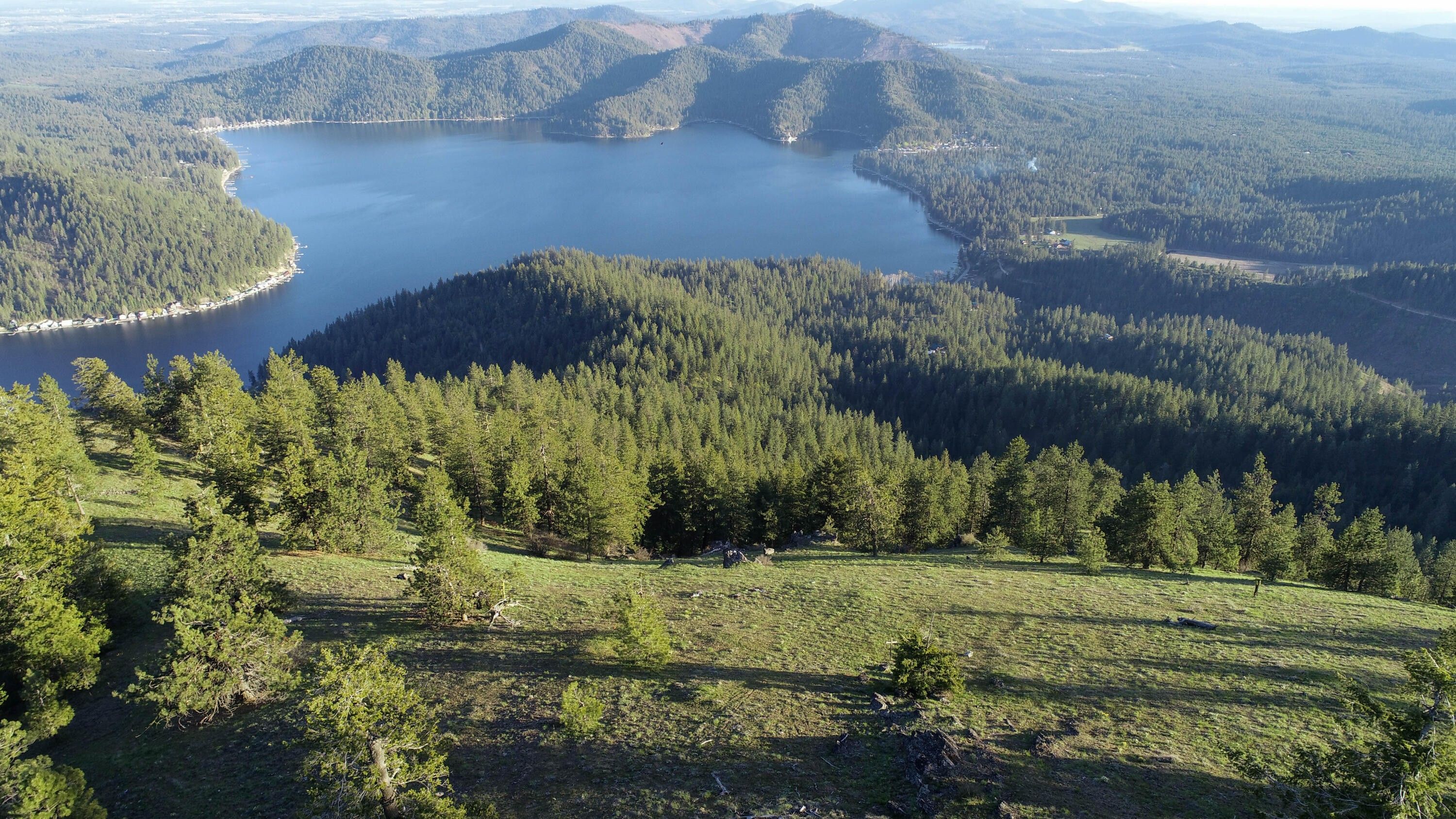 Loon Lake, Stevens County, WA Undeveloped Land for sale Property ID