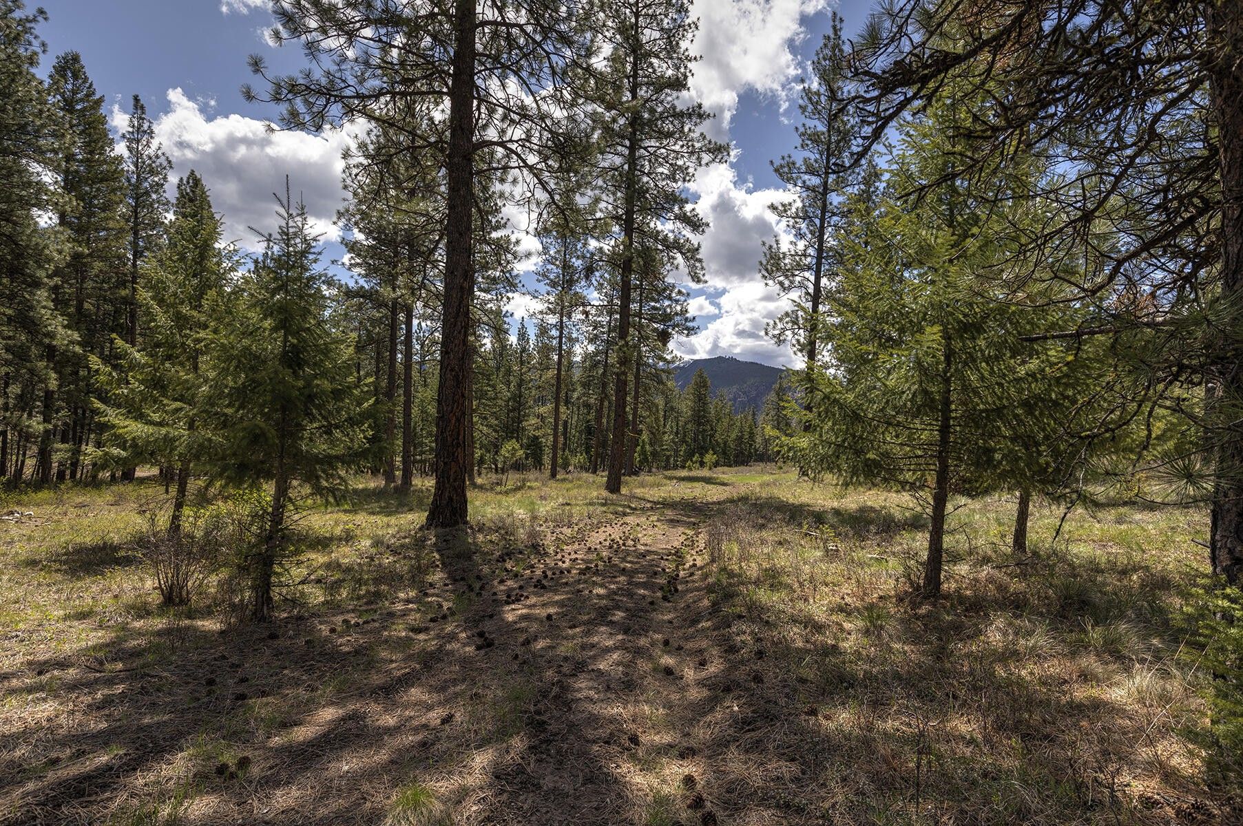 Huson, Missoula County, MT Undeveloped Land for sale Property ID
