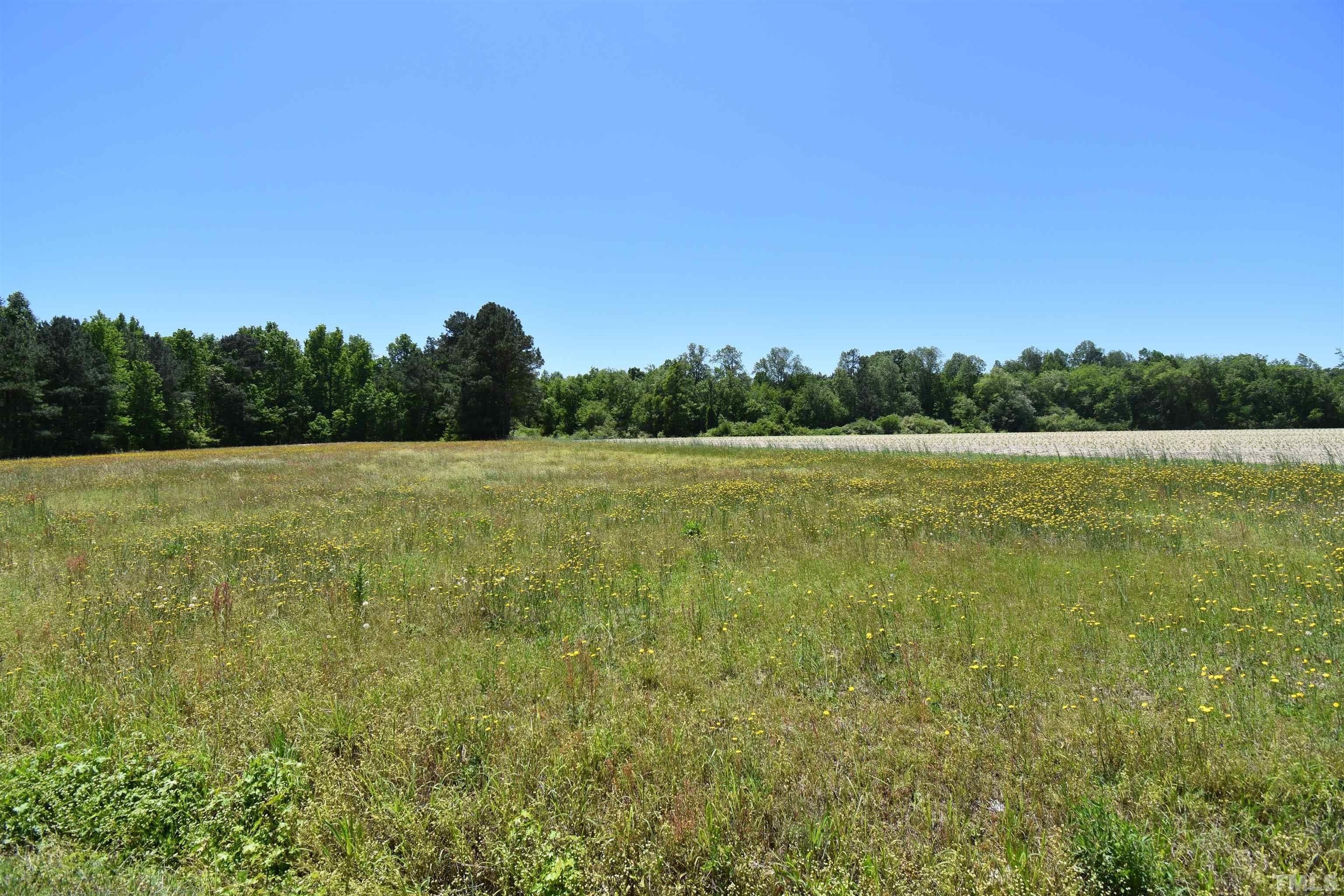 Bunnlevel, County, NC Undeveloped Land for sale Property ID