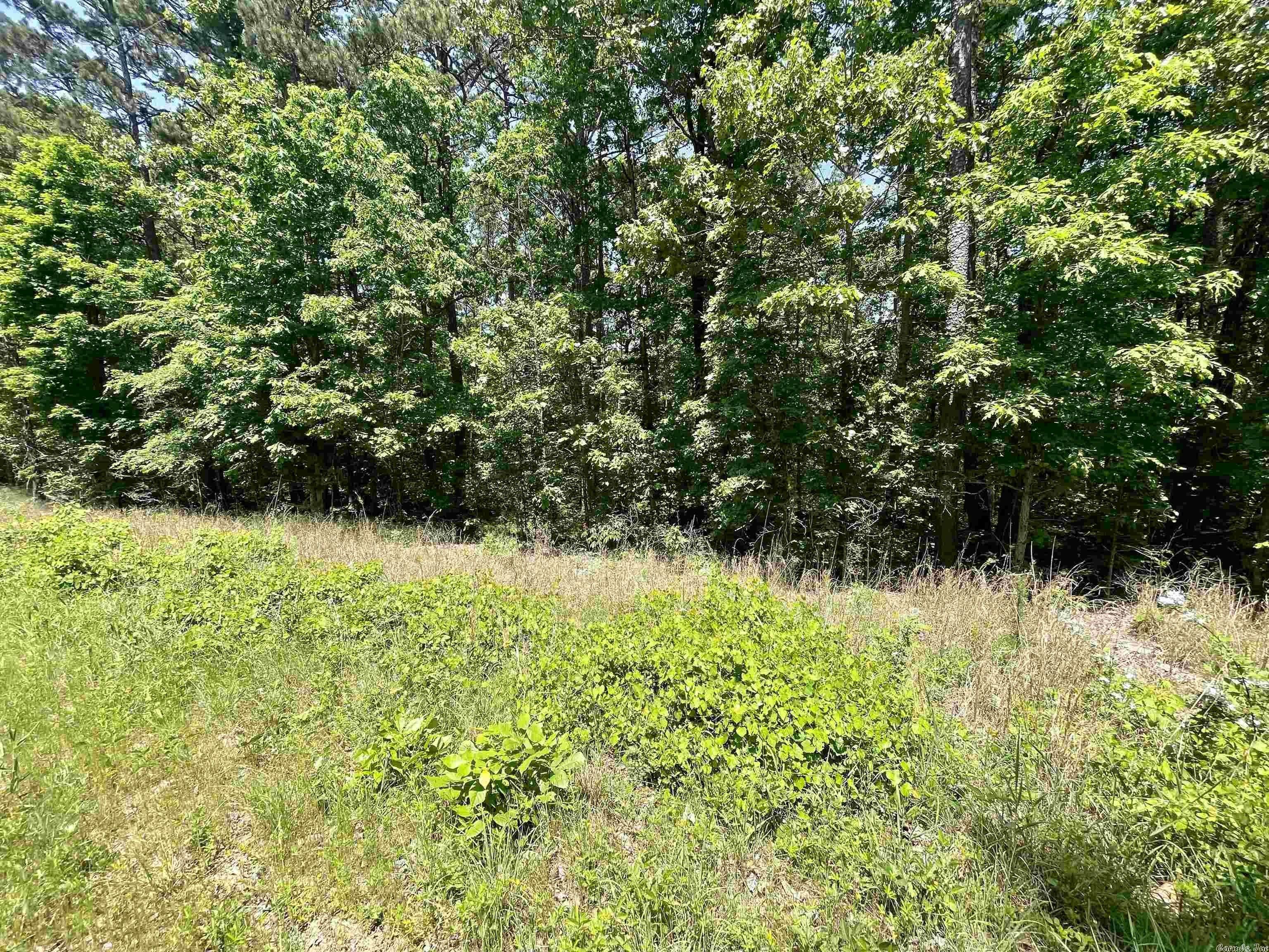 Greers Ferry, Cleburne County, AR Undeveloped Land, Homesites for sale