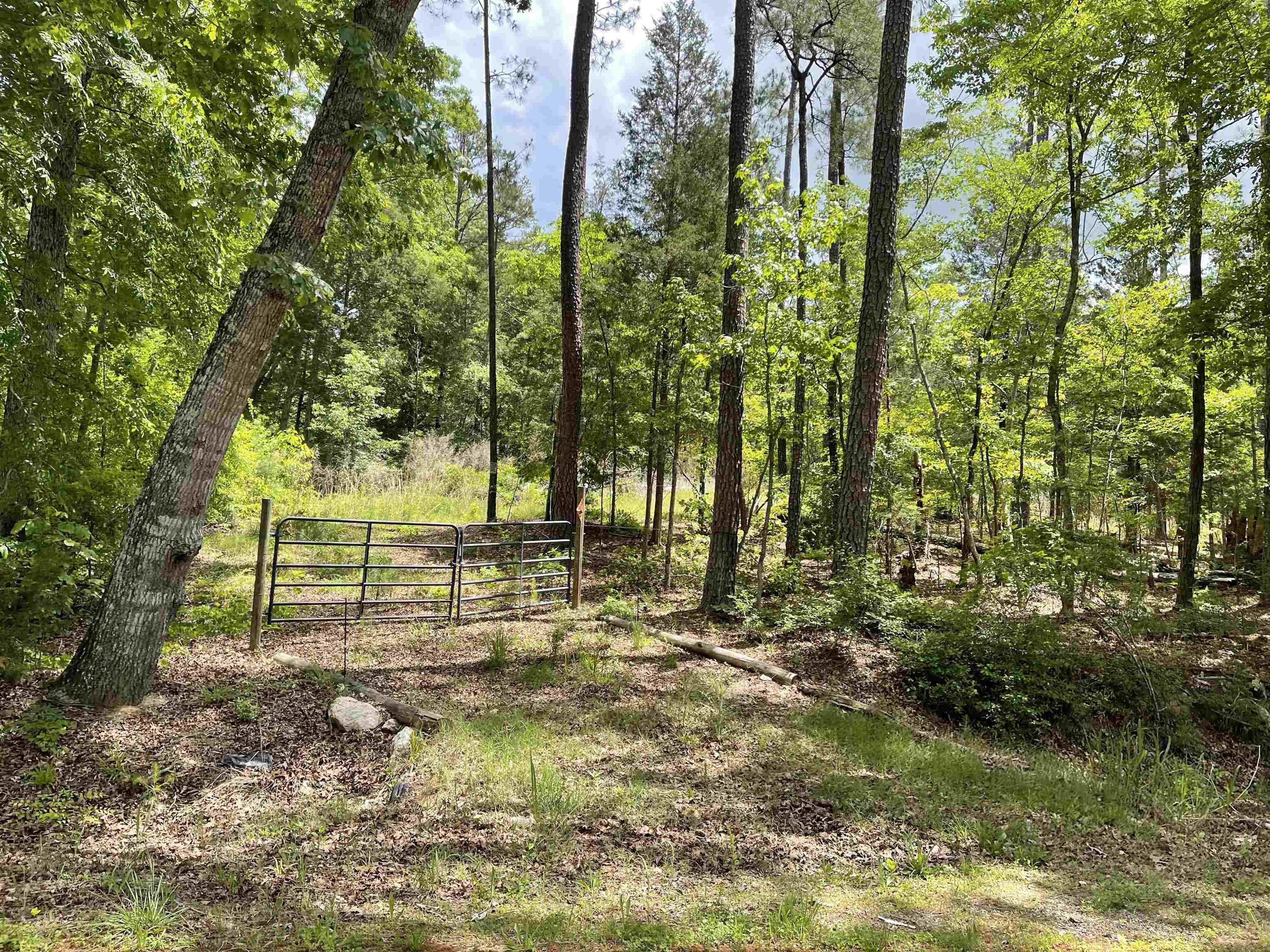 Smyrna, York County, SC Undeveloped Land for sale Property ID