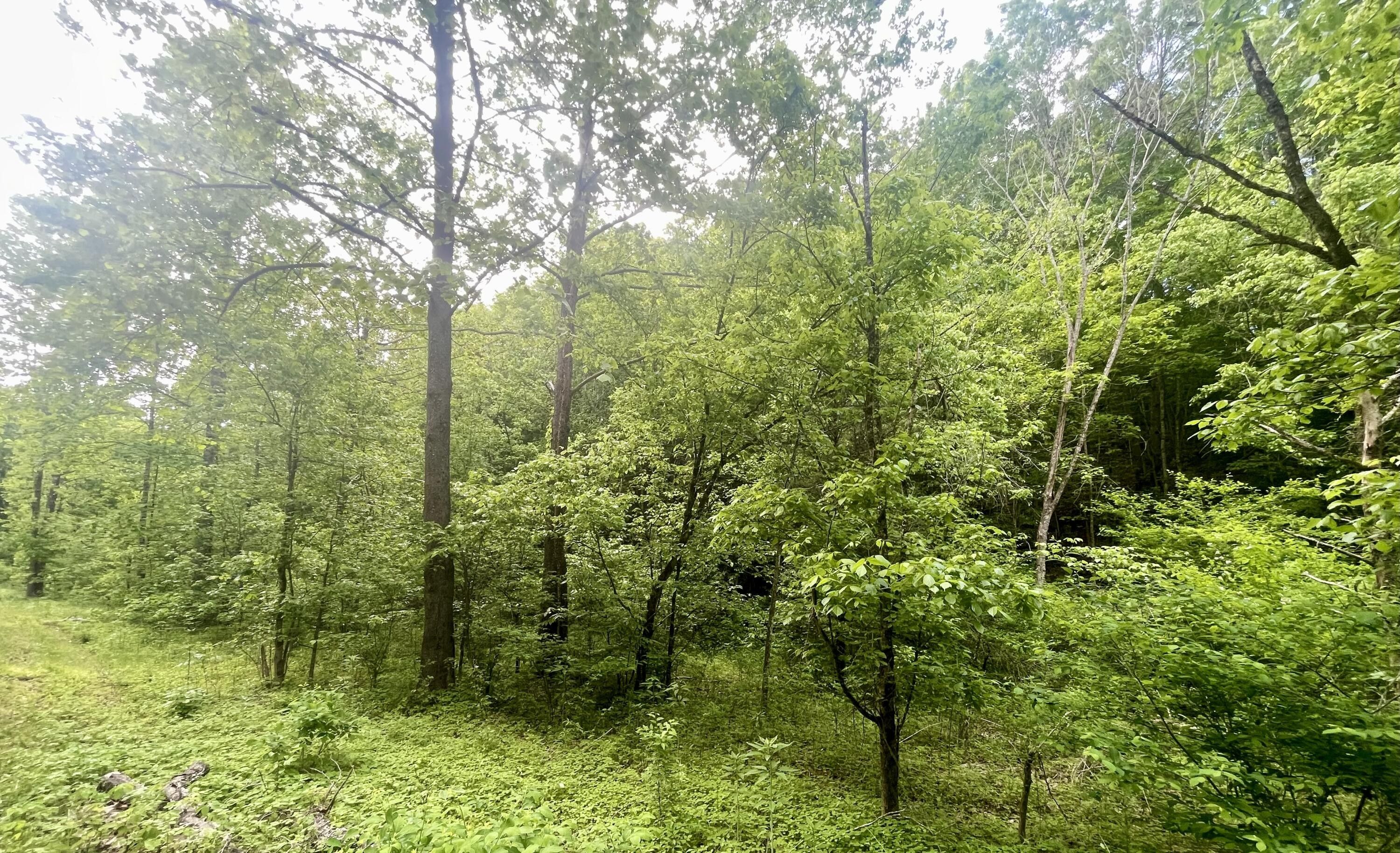 Bulls Gap, Greene County, TN Undeveloped Land for sale Property ID 413568637 LandWatch
