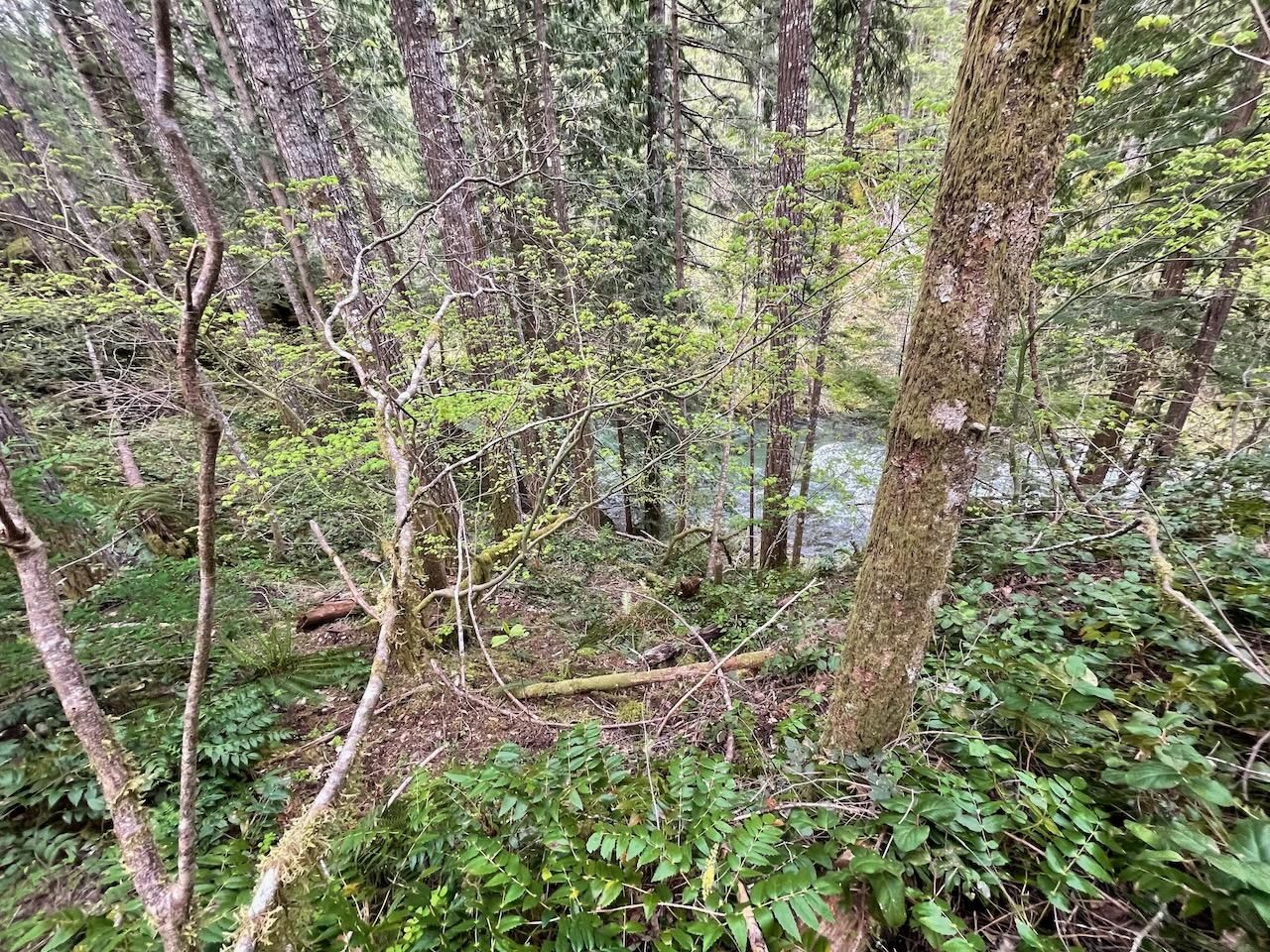 Carson, Skamania County, WA Recreational Property, Homesites for sale Property ID 413580300