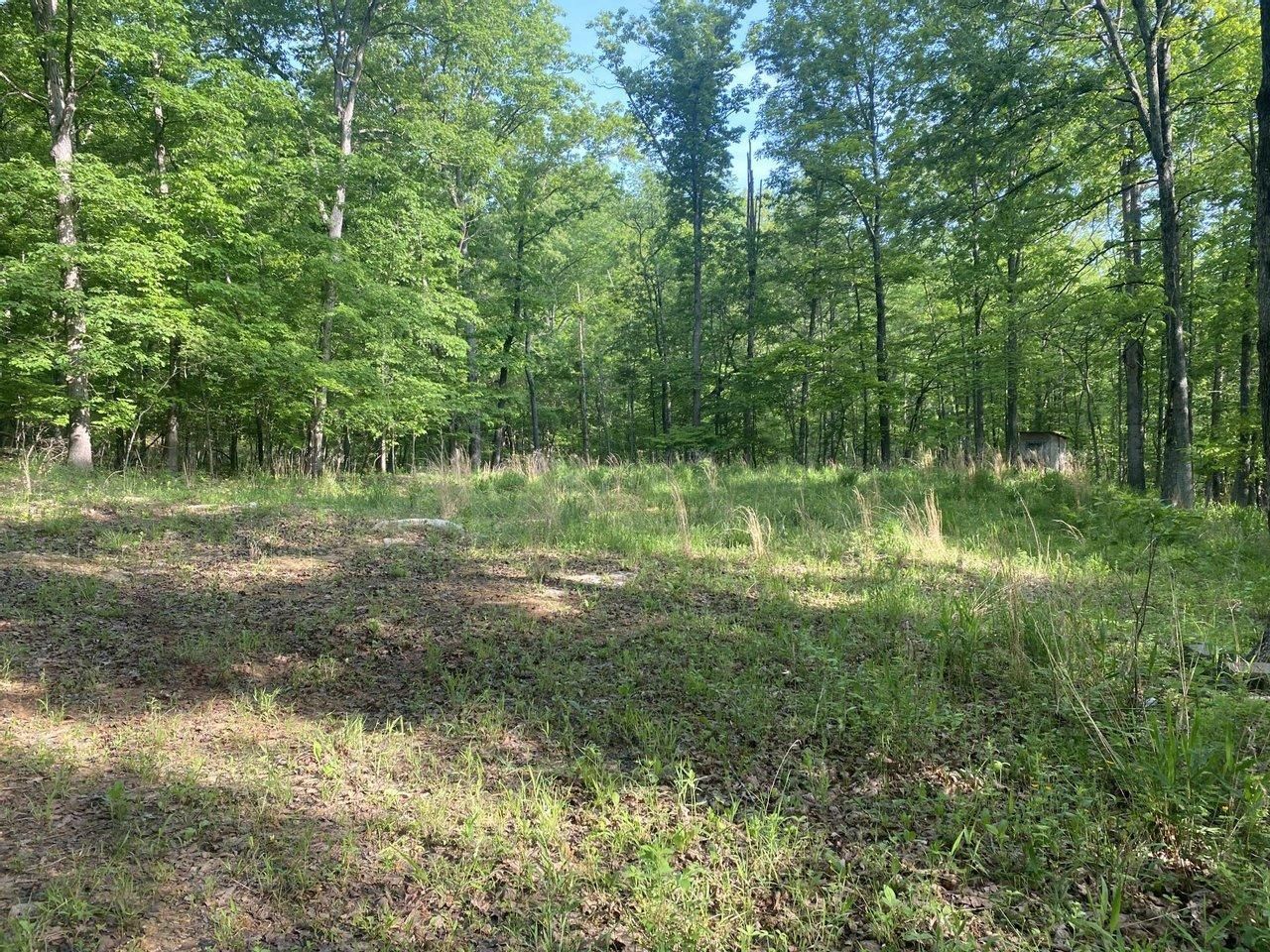 Van Buren, Carter County, MO Recreational Property, Timberland Property