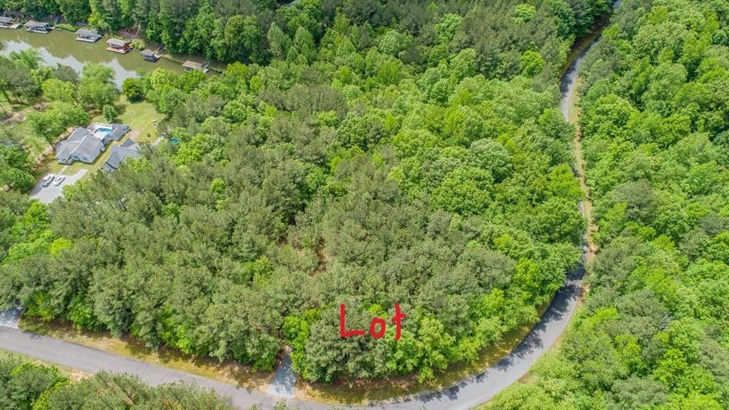 Henrico, Northampton County, NC Undeveloped Land, Lakefront Property