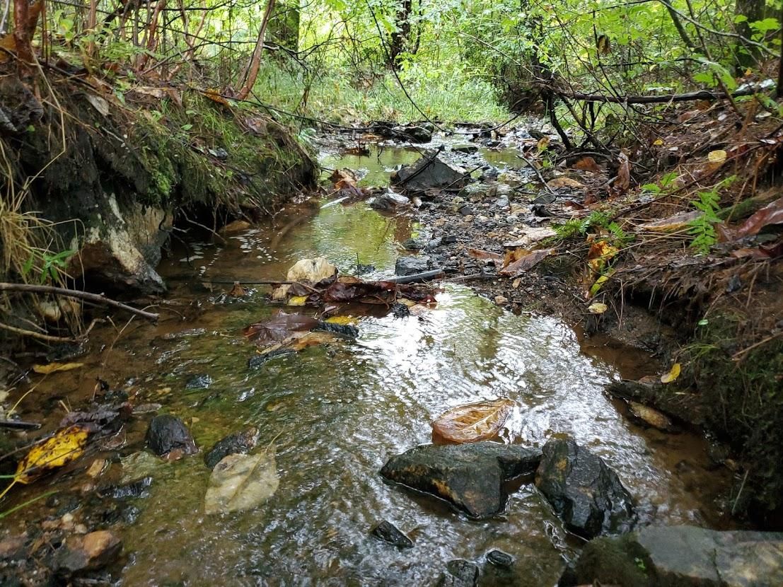 Mooresboro, Rutherford County, NC Recreational Property, Undeveloped