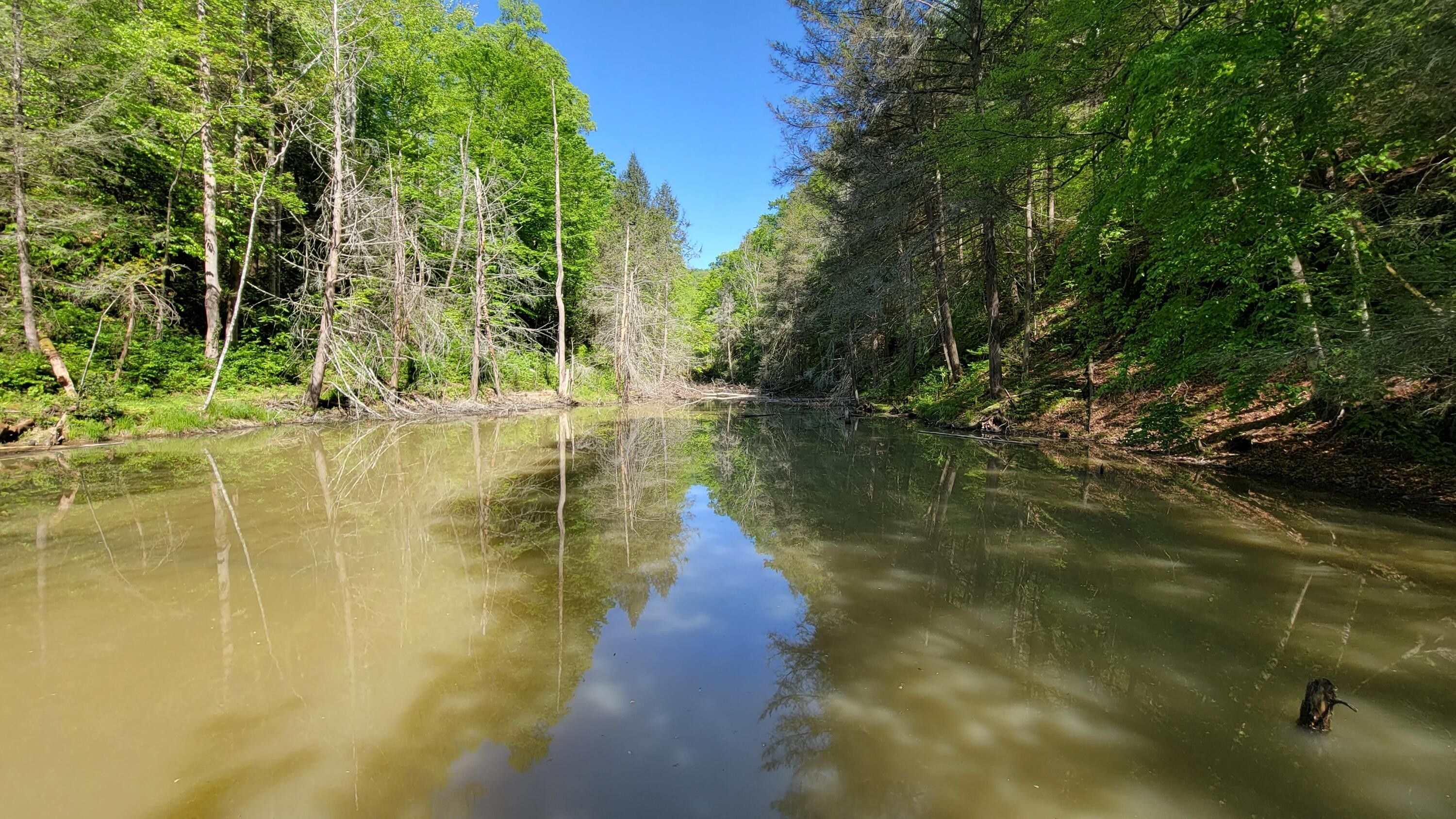 Tomahawk, Martin County, KY Farms and Ranches for sale Property ID 413584053 LandWatch