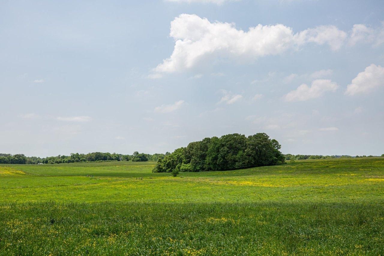 Orlinda, Robertson County, TN Farms and Ranches for sale Property ID