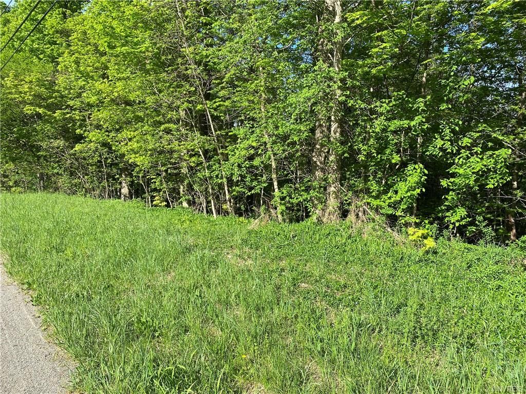 Gowanda, Cattaraugus County, NY Undeveloped Land for sale Property ID