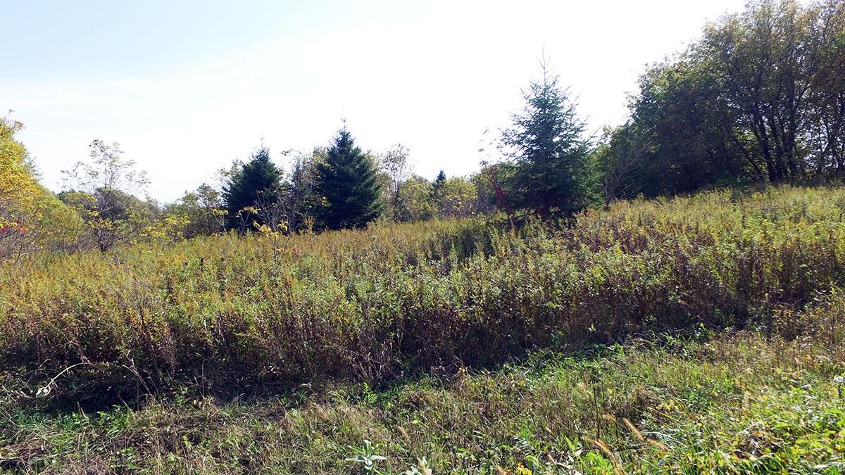 White Willow, Goodhue County, MN Recreational Property, Hunting