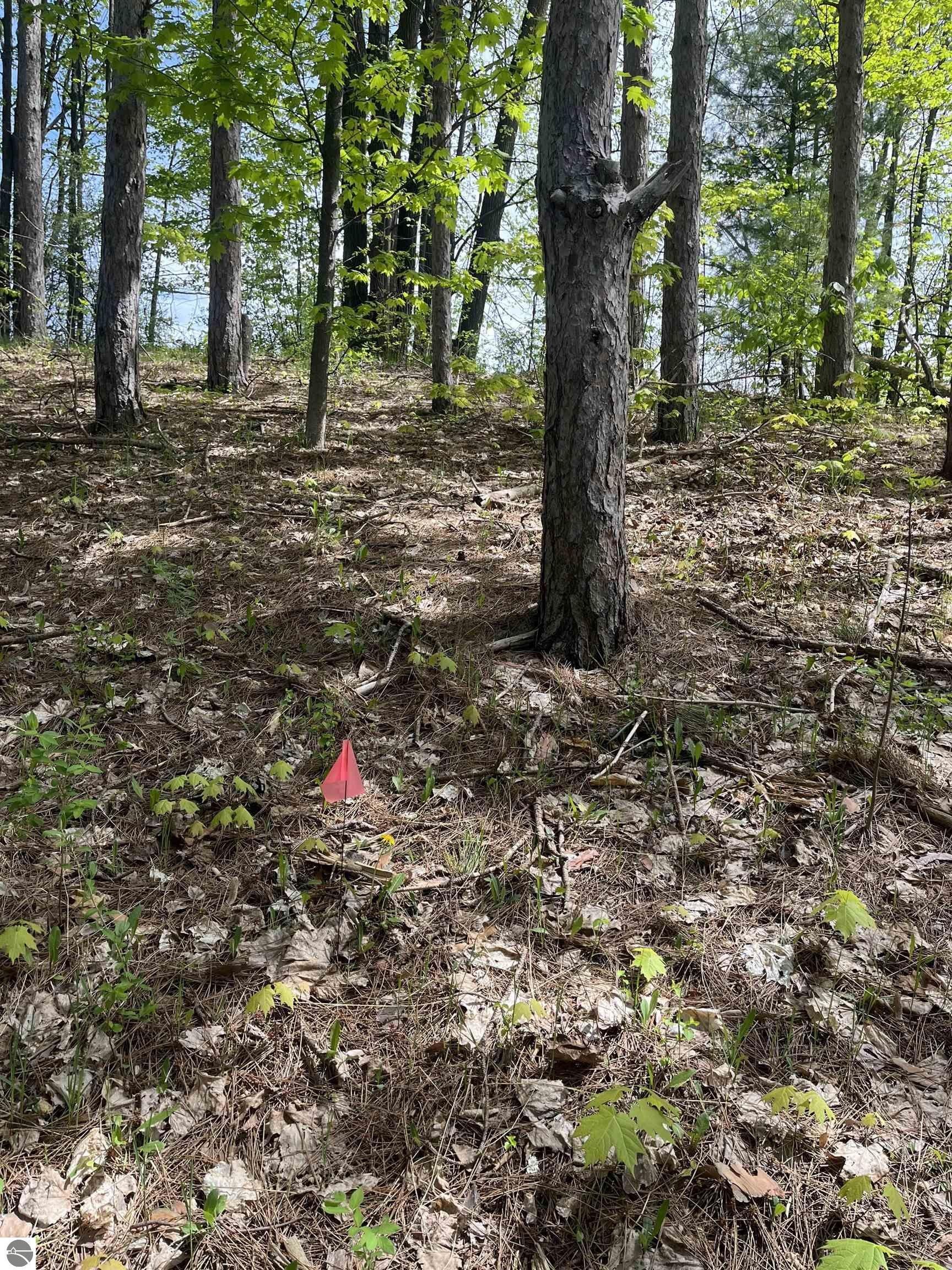 Traverse City, Grand Traverse County, MI Undeveloped Land, Lakefront