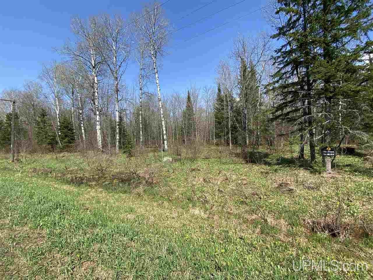 Bessemer, Gogebic County, MI Undeveloped Land for sale Property ID