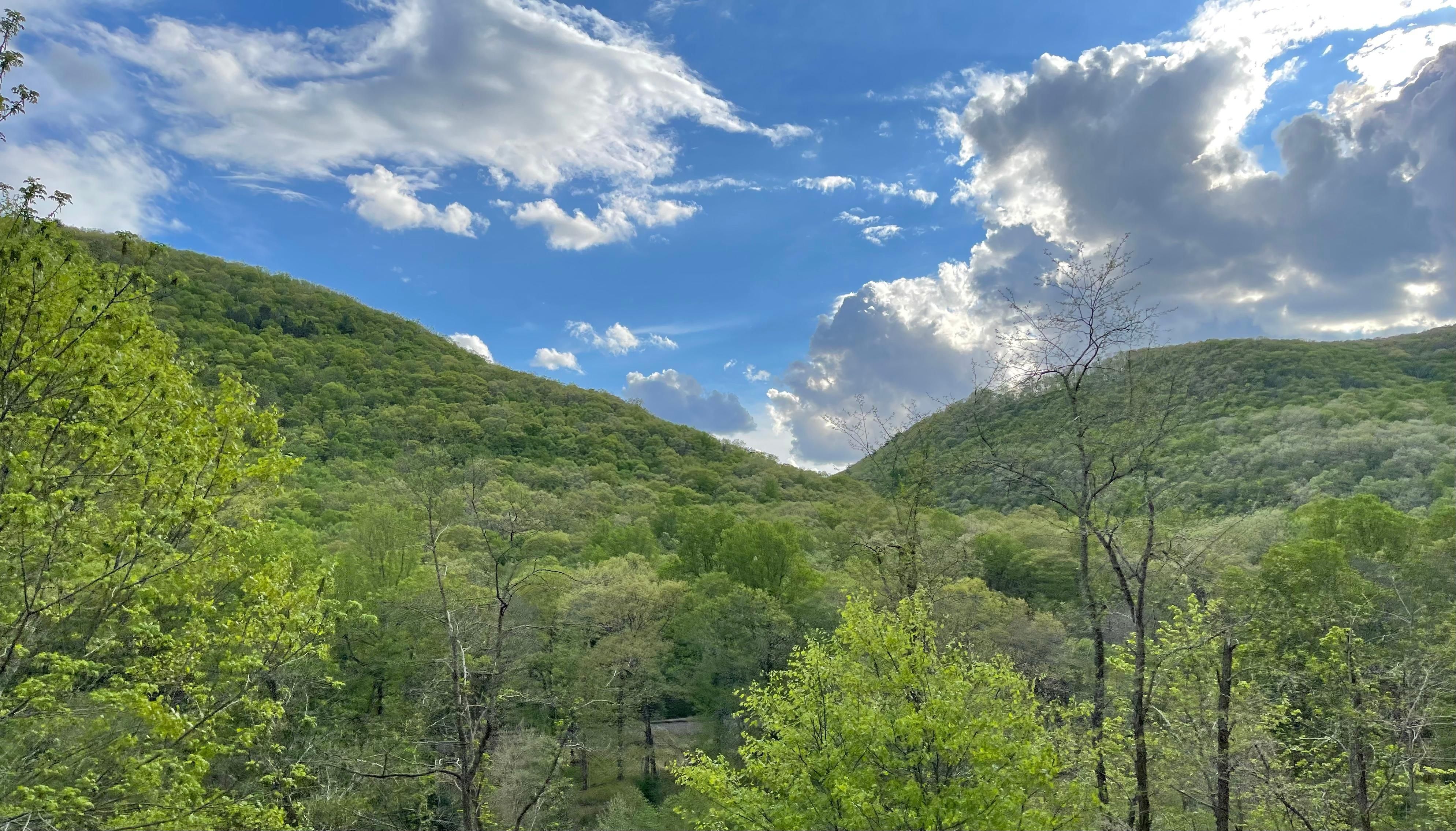 Renovo Rd, Westport, PA 17778 LandWatch