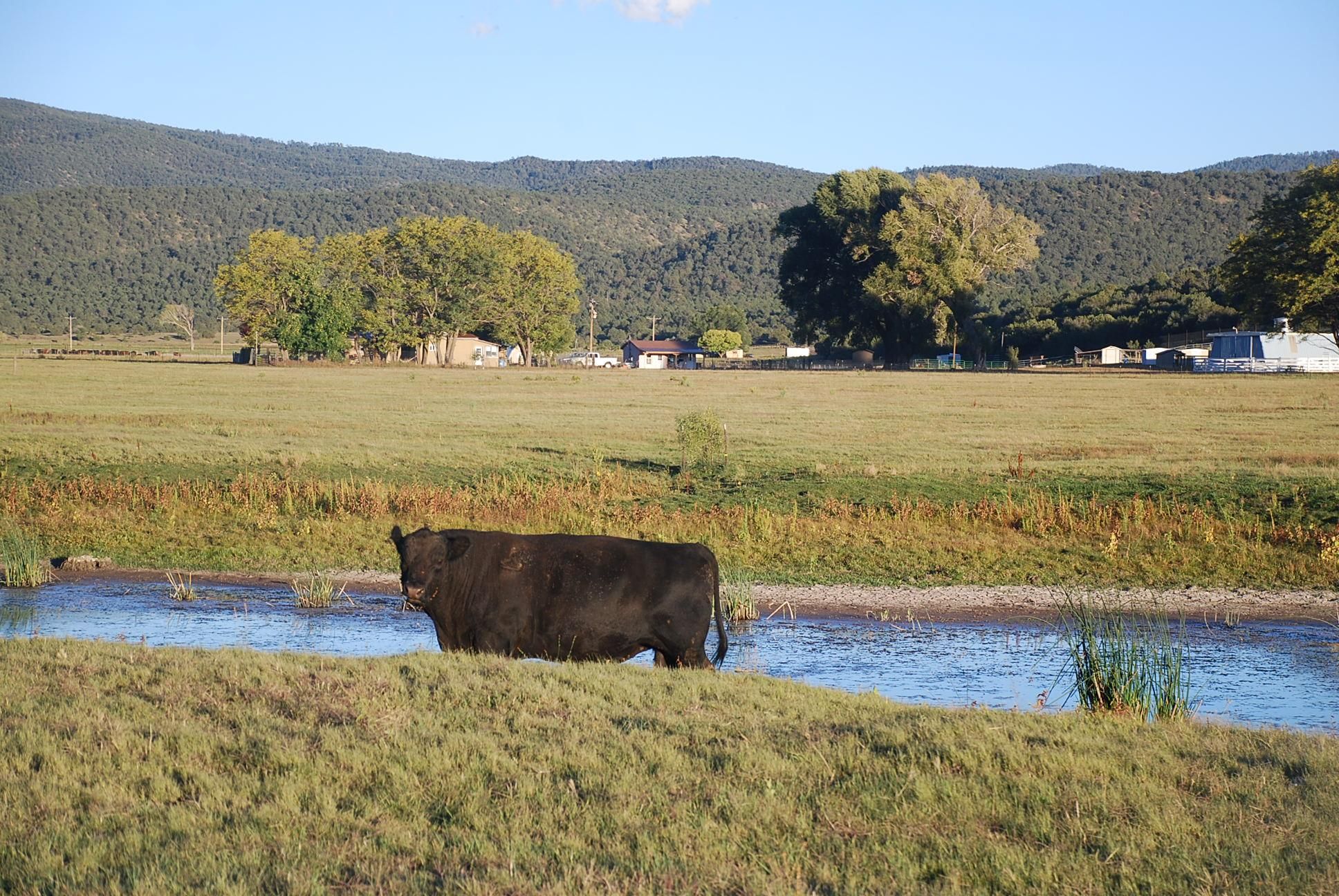 2268 Highway 12, Aragon, NM 87820 LandWatch
