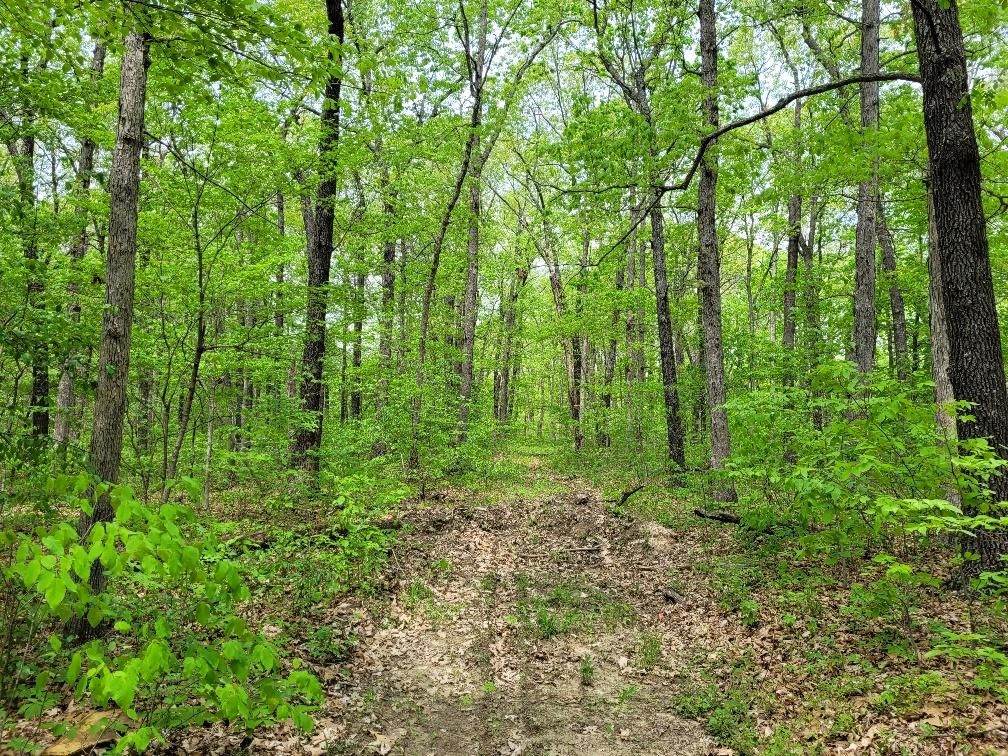 11 Sellenriek Ln, Jonesburg, MO 63350 MLS 22030328 LandWatch