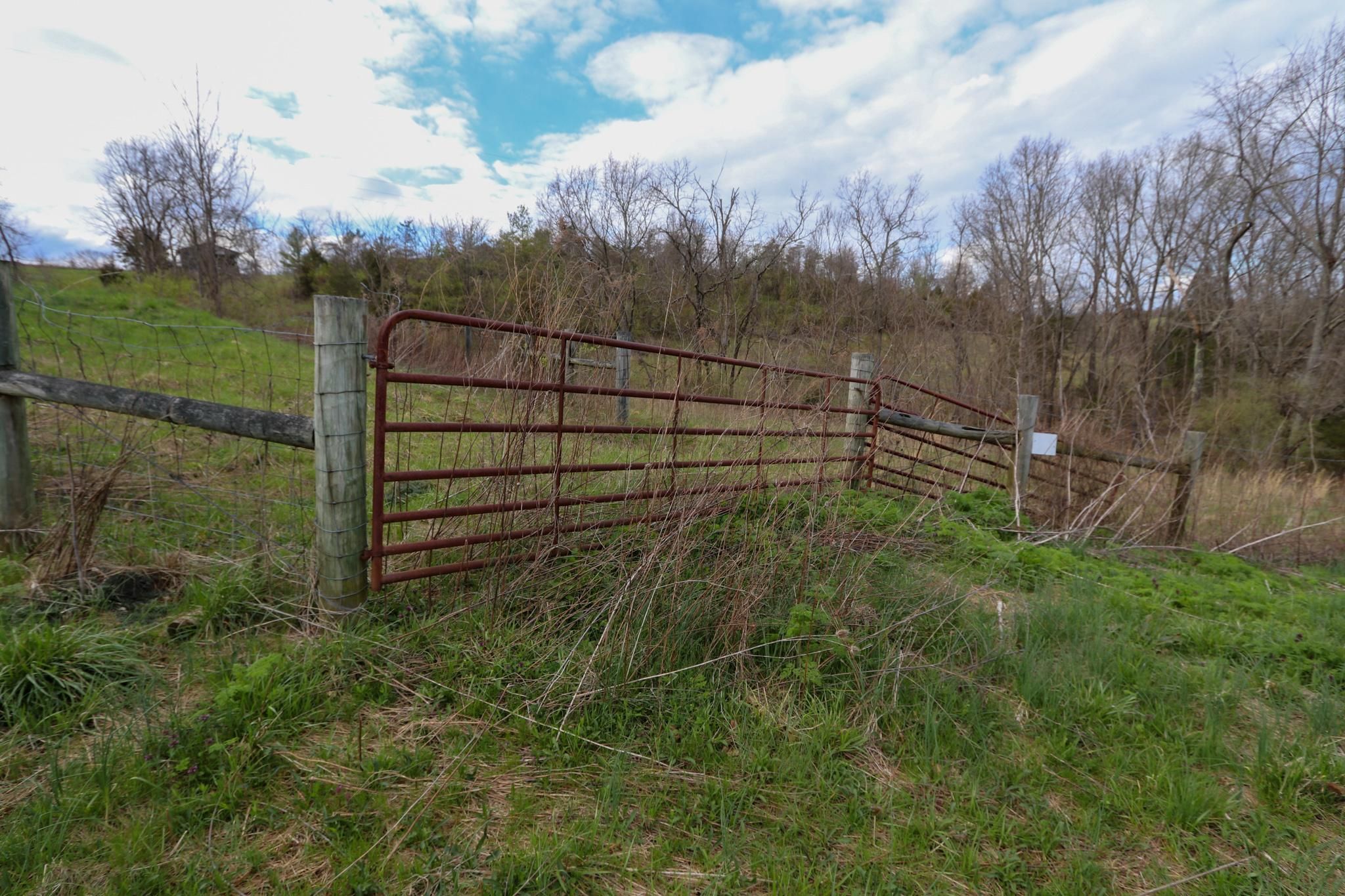 Mount Olivet, Robertson County, KY Farms and Ranches, Timberland