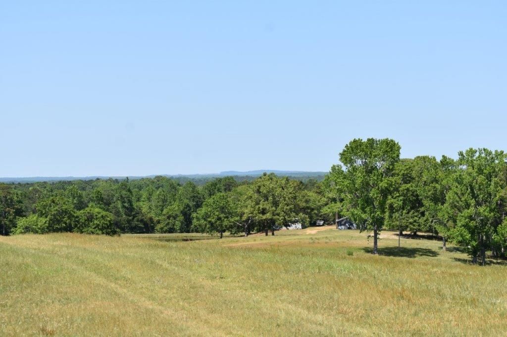 0 Lee Road 401, Opelika, AL 36804 LandWatch