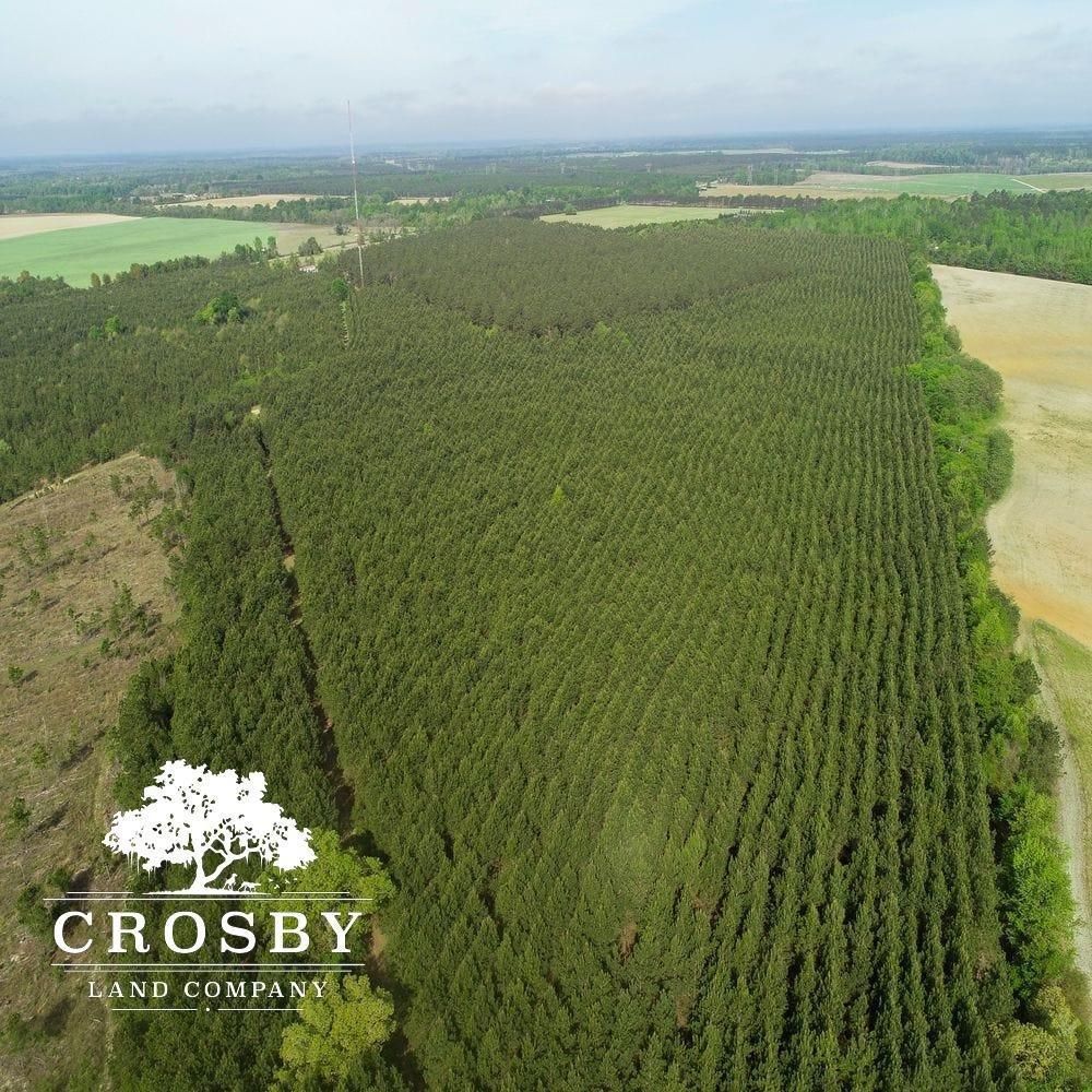 Waynesboro, Burke County, GA Recreational Property, Timberland Property