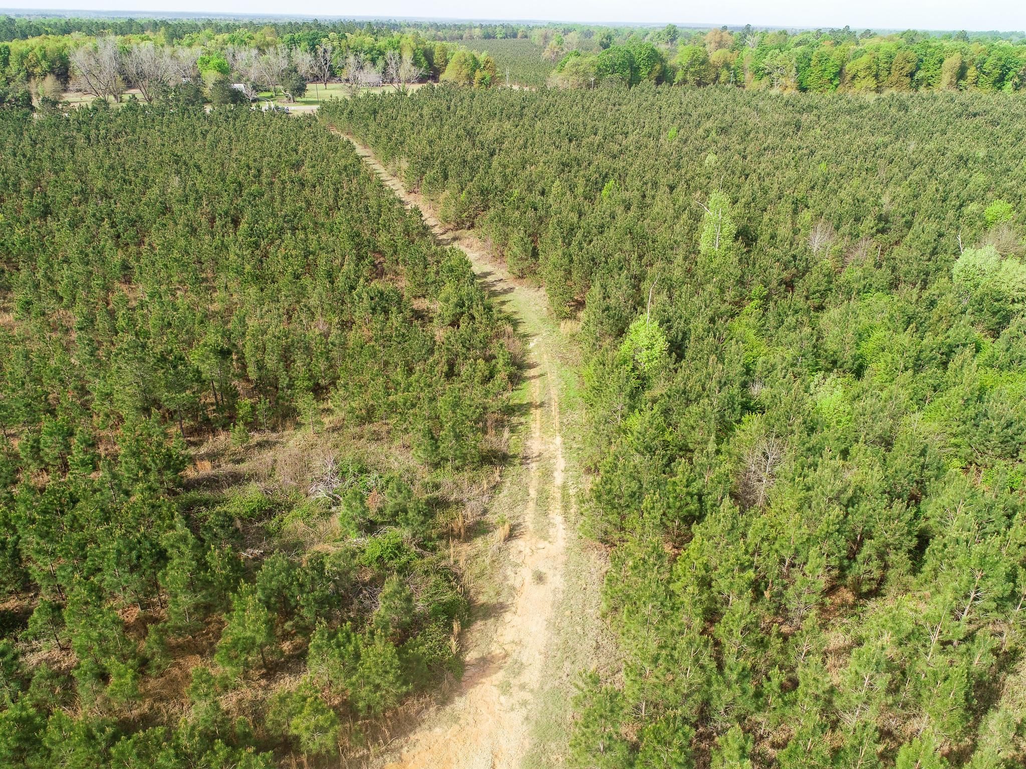 Waynesboro, Burke County, GA Recreational Property, Hunting Property