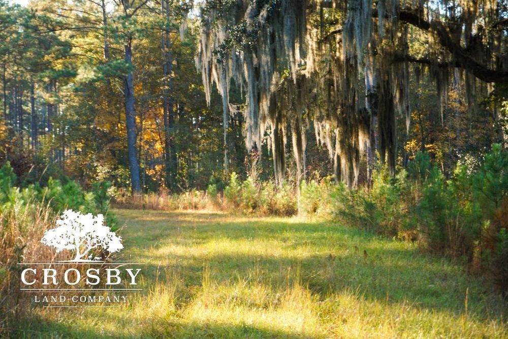 Ridgeland, Jasper County, SC Recreational Property, Timberland Property