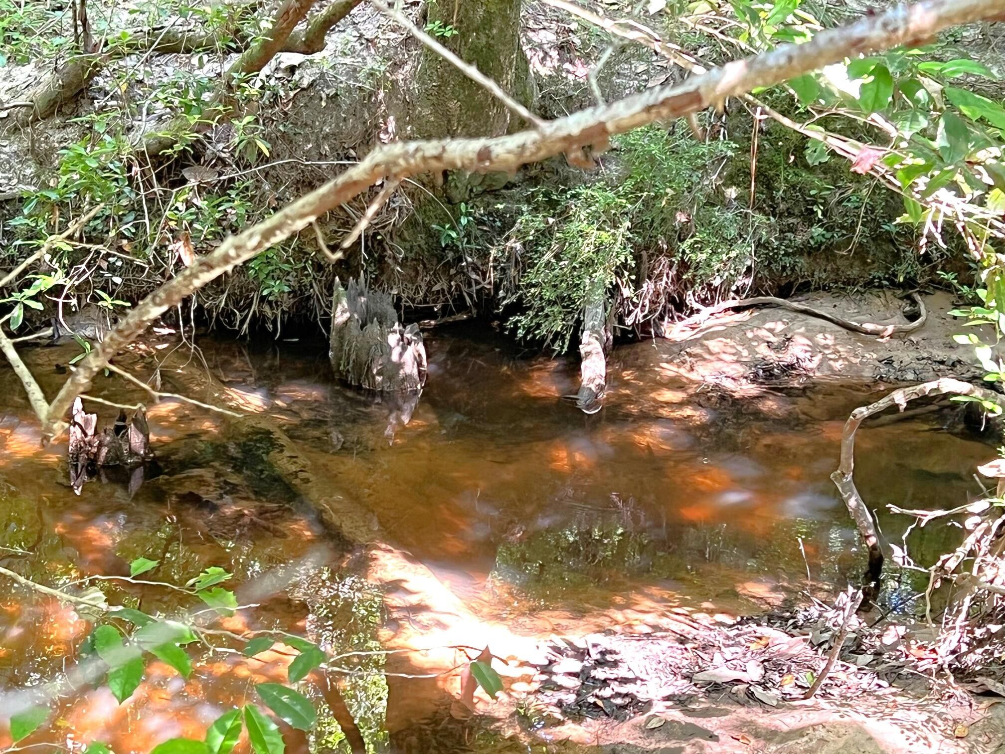 Defuniak Springs, Walton County, FL Undeveloped Land, Lakefront