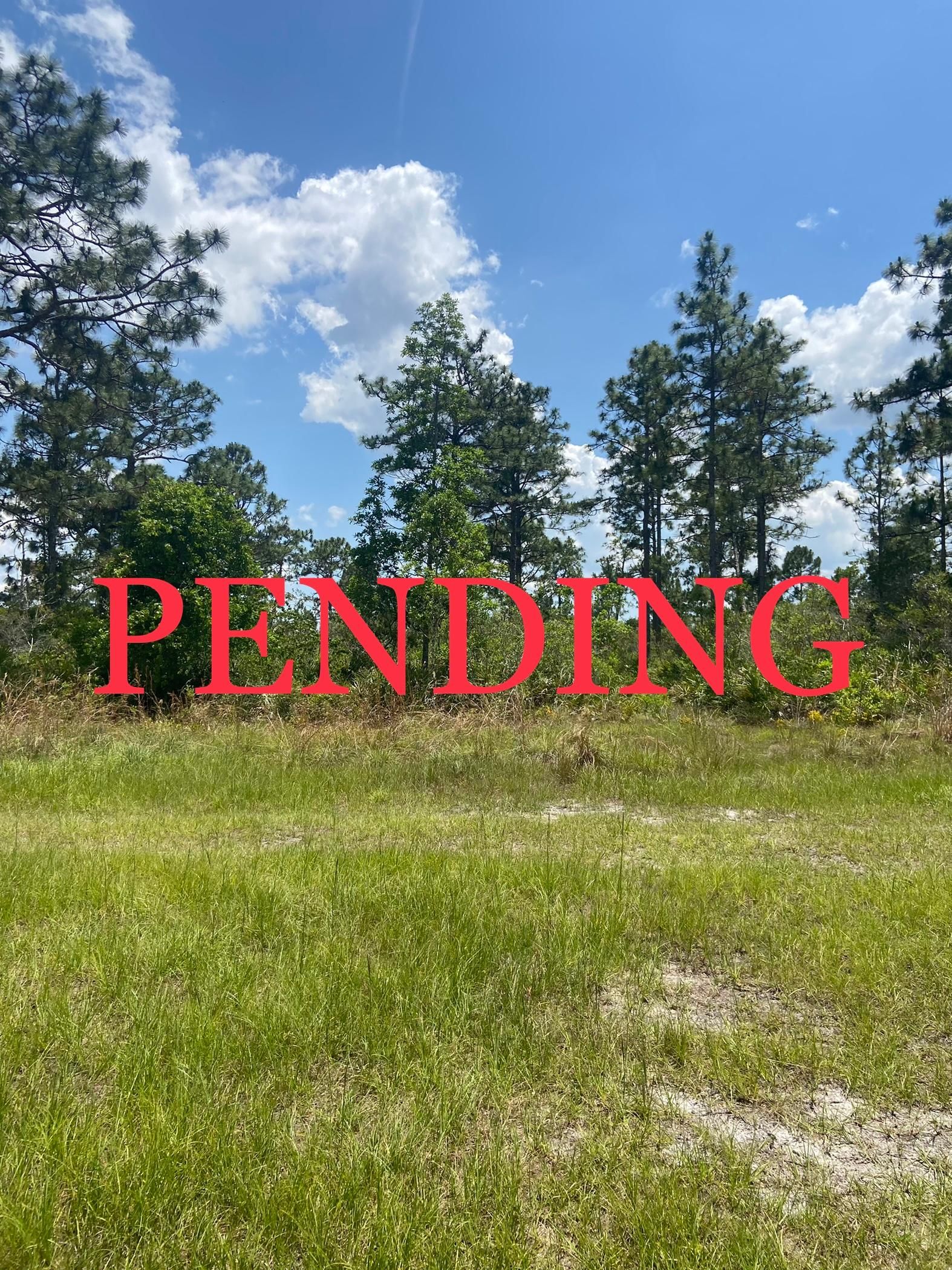 Okeechobee, Okeechobee County, FL Recreational Property, Undeveloped