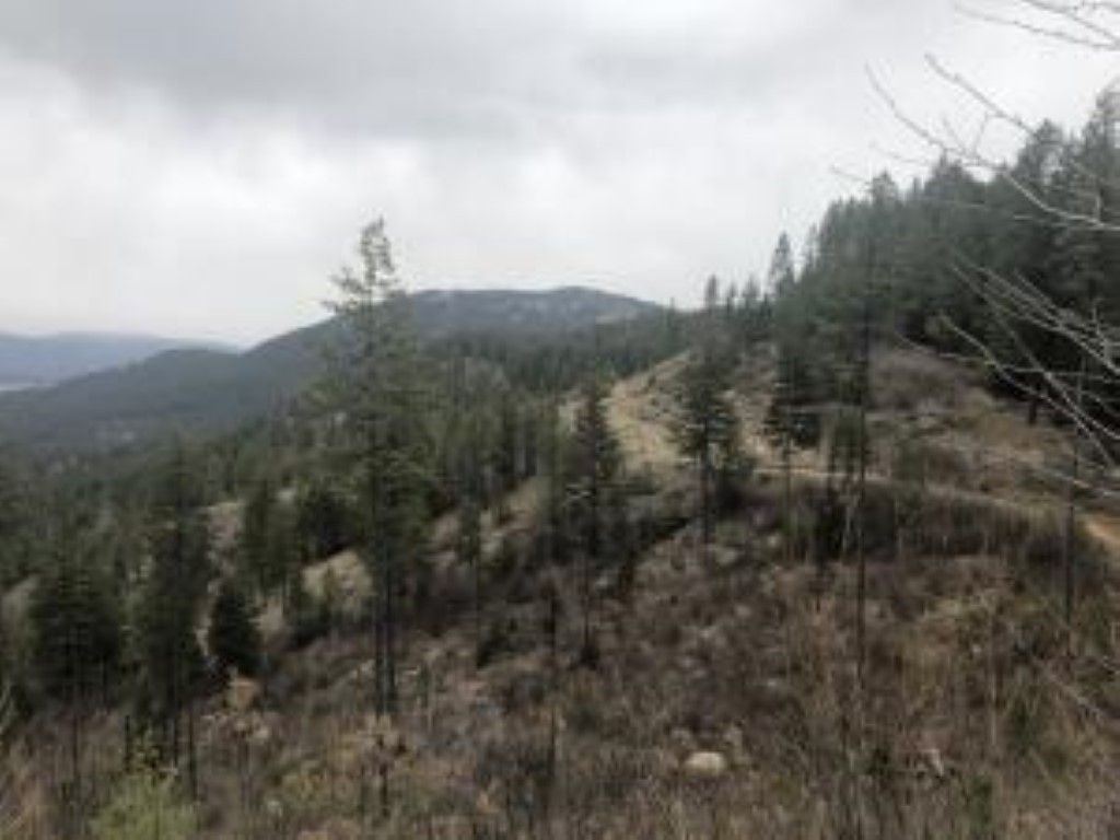 Chewelah, Stevens County, WA Undeveloped Land for sale Property ID
