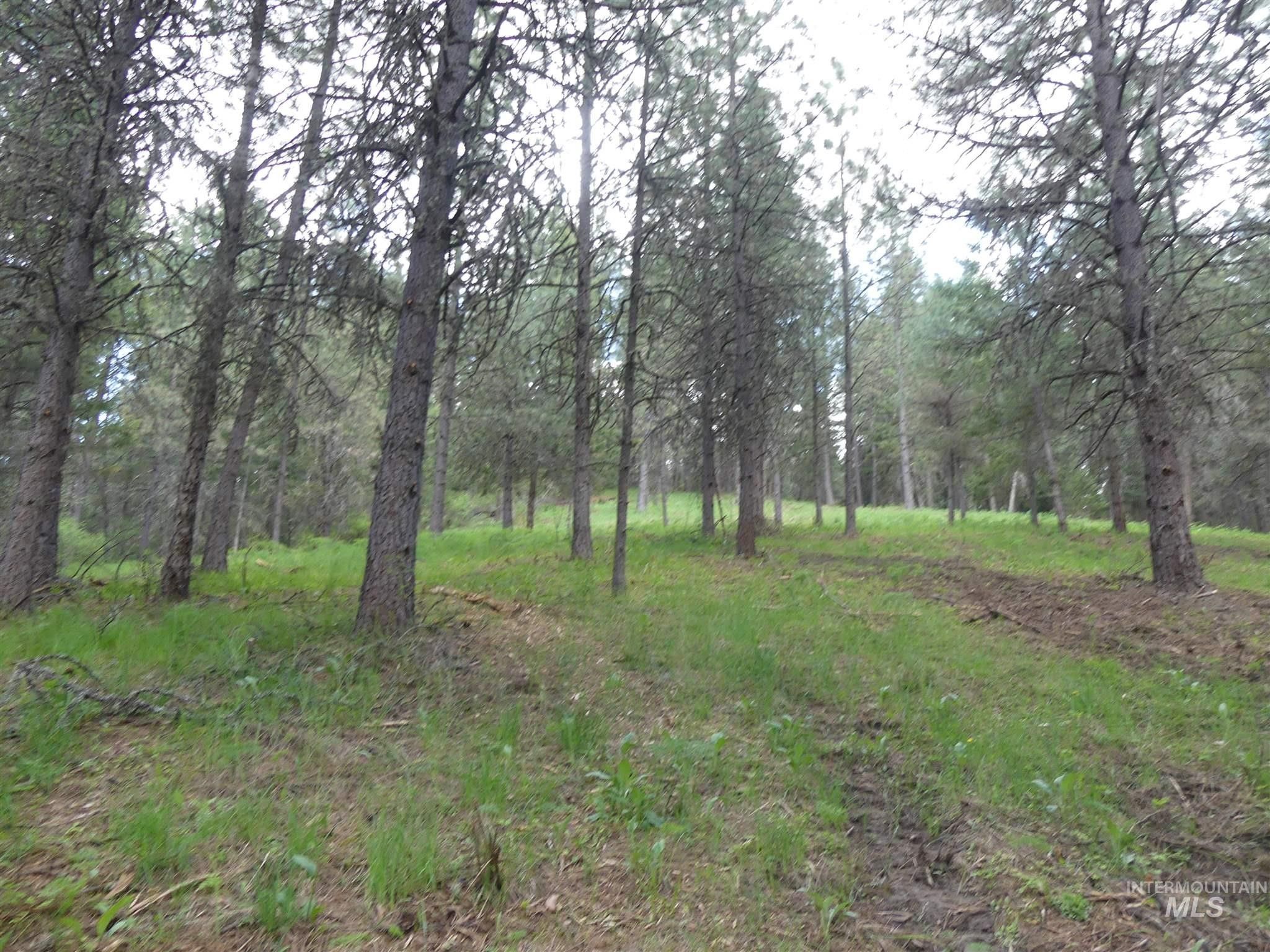 Peck, Nez Perce County, ID Undeveloped Land for sale Property ID