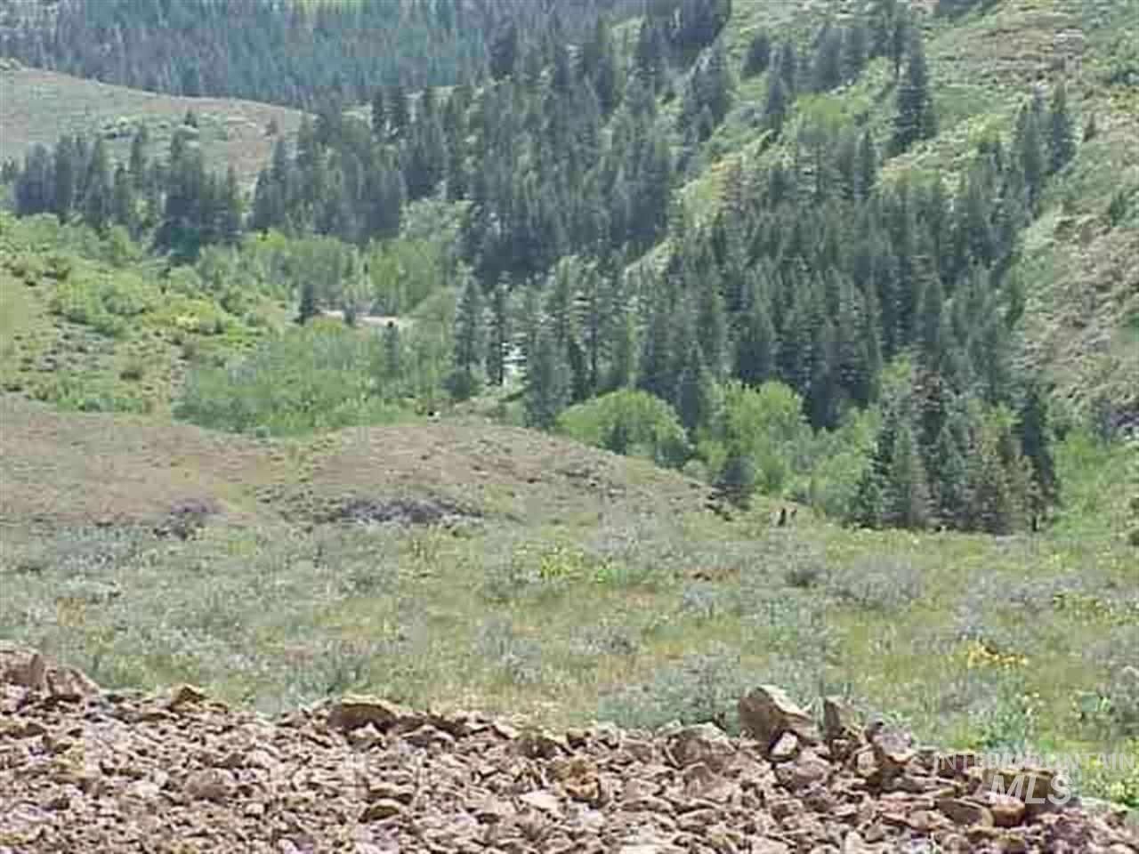 Council, Adams County, ID Undeveloped Land, Lakefront Property