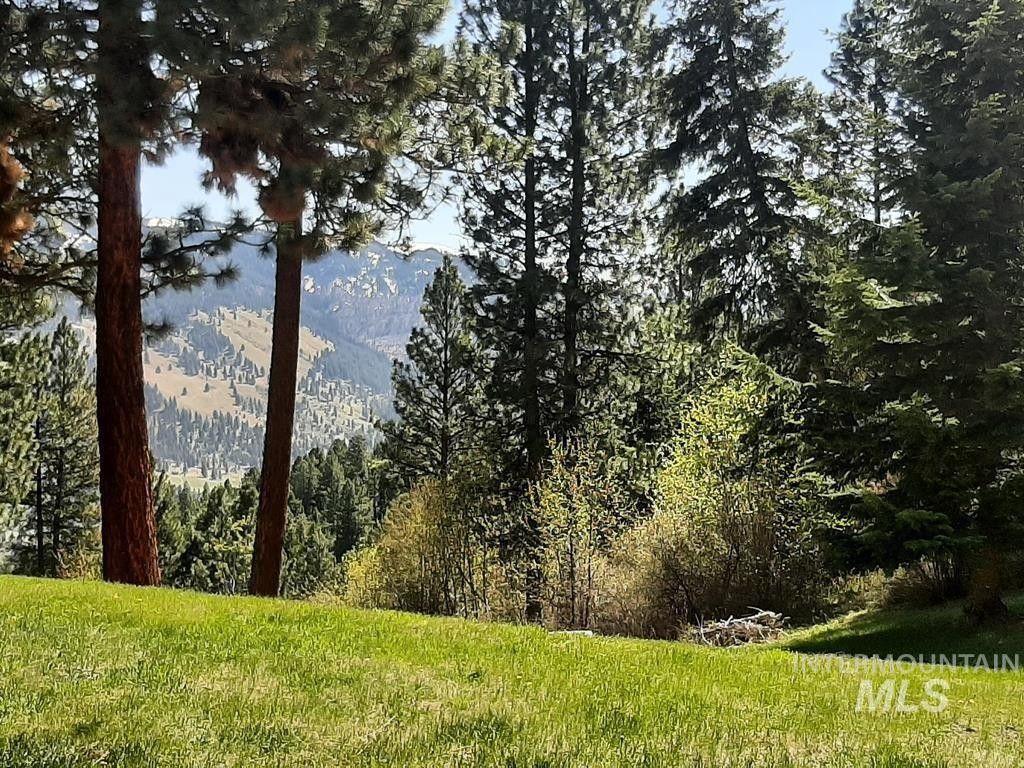 Pollock, Idaho County, ID Undeveloped Land for sale Property ID