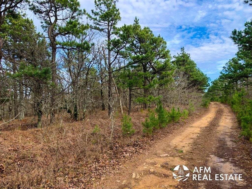 Octavia, Le Flore County, OK Recreational Property, Undeveloped Land