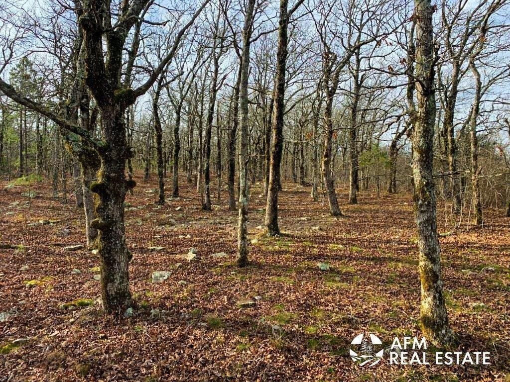 Octavia, Le Flore County, OK Recreational Property, Undeveloped Land