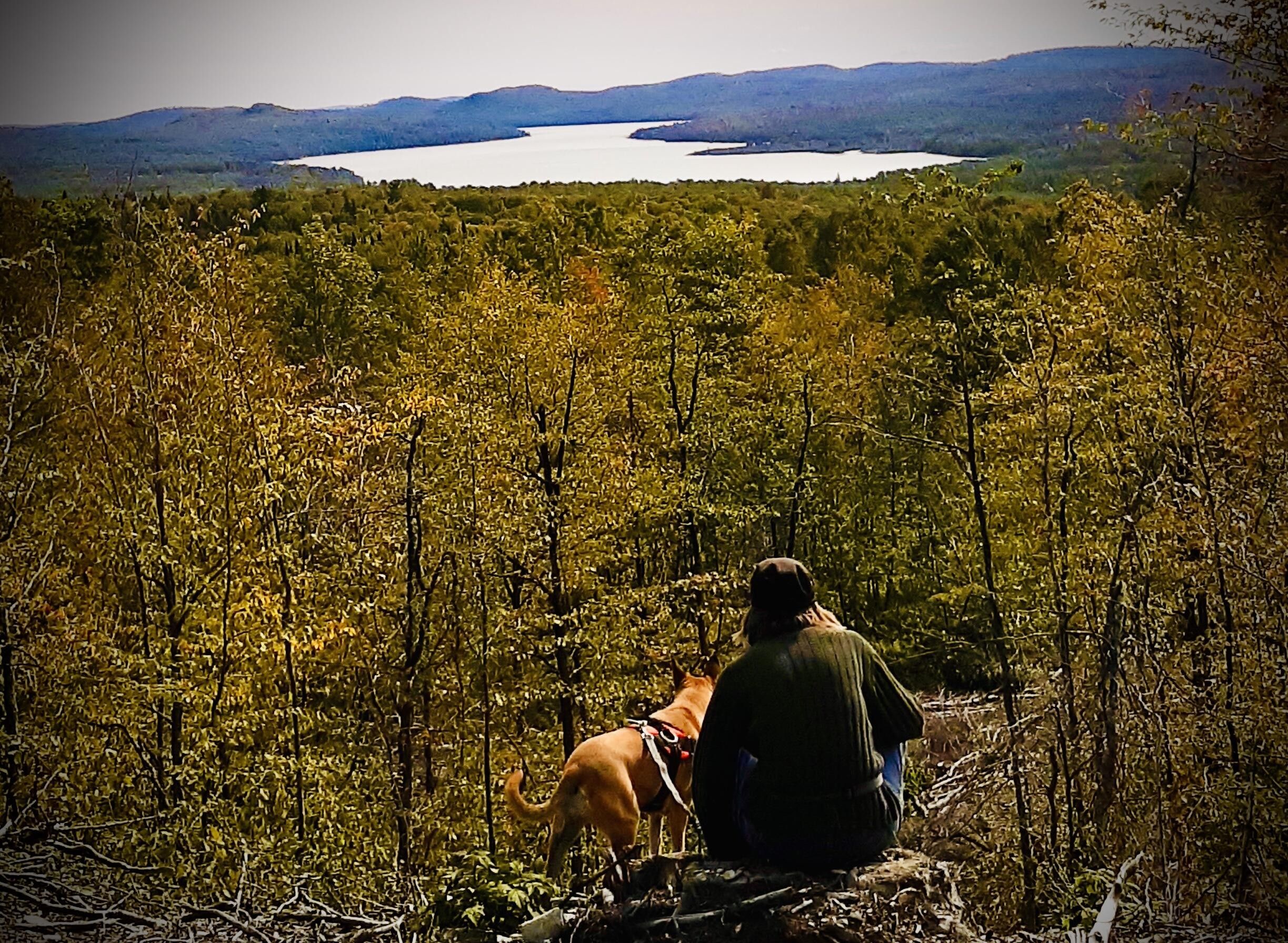 Eagle Lake, Aroostook County, ME Undeveloped Land for sale Property ID