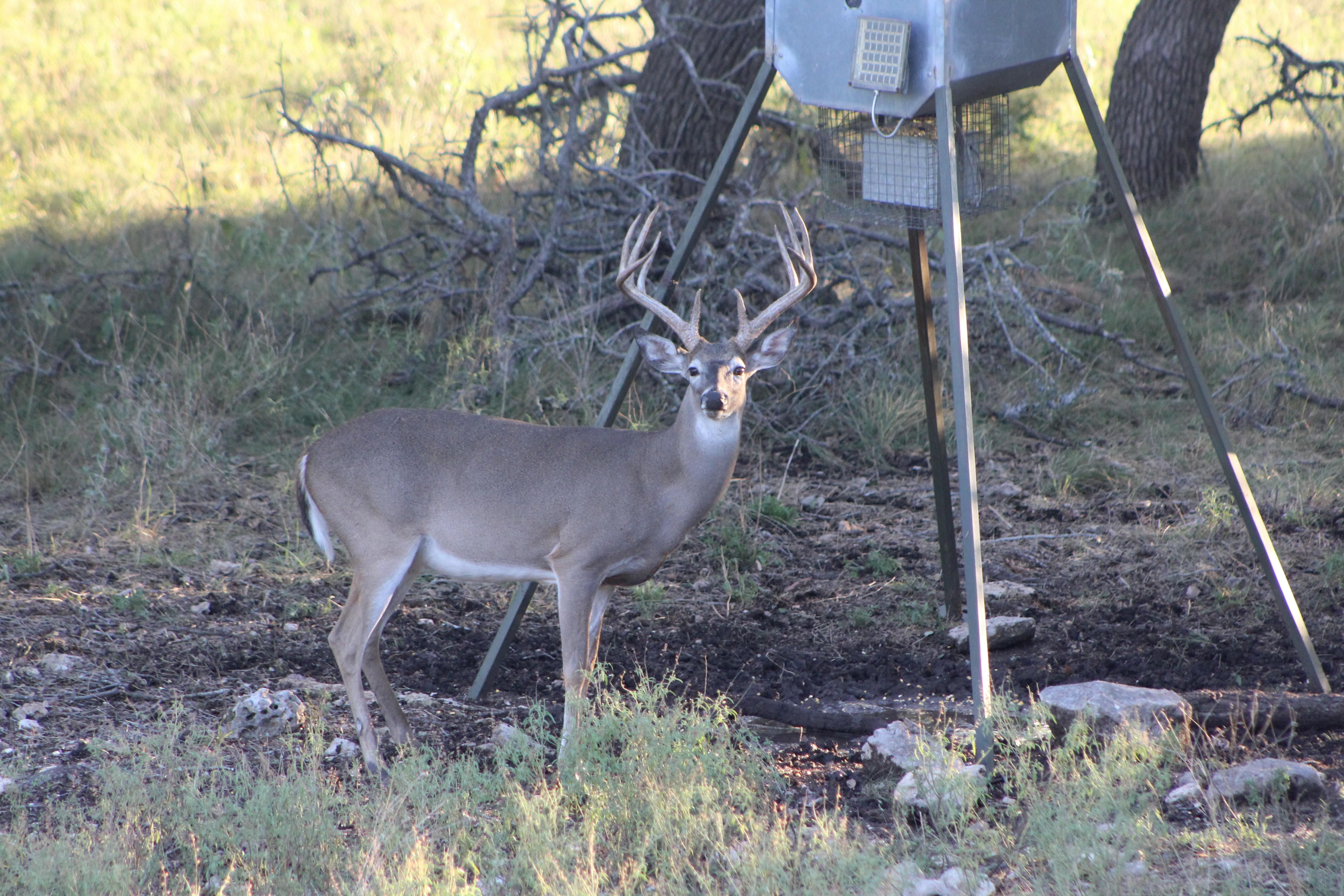 Harper, Kimble County, TX Recreational Property, Hunting Property for