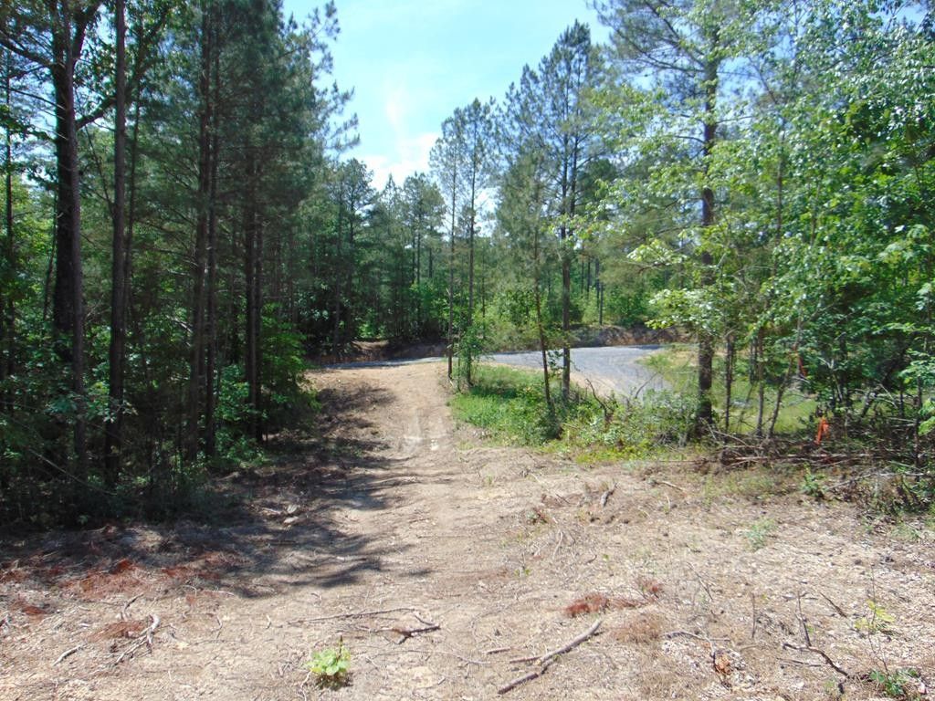 Decatur, Meigs County, TN for sale Property ID 413608468 LandWatch