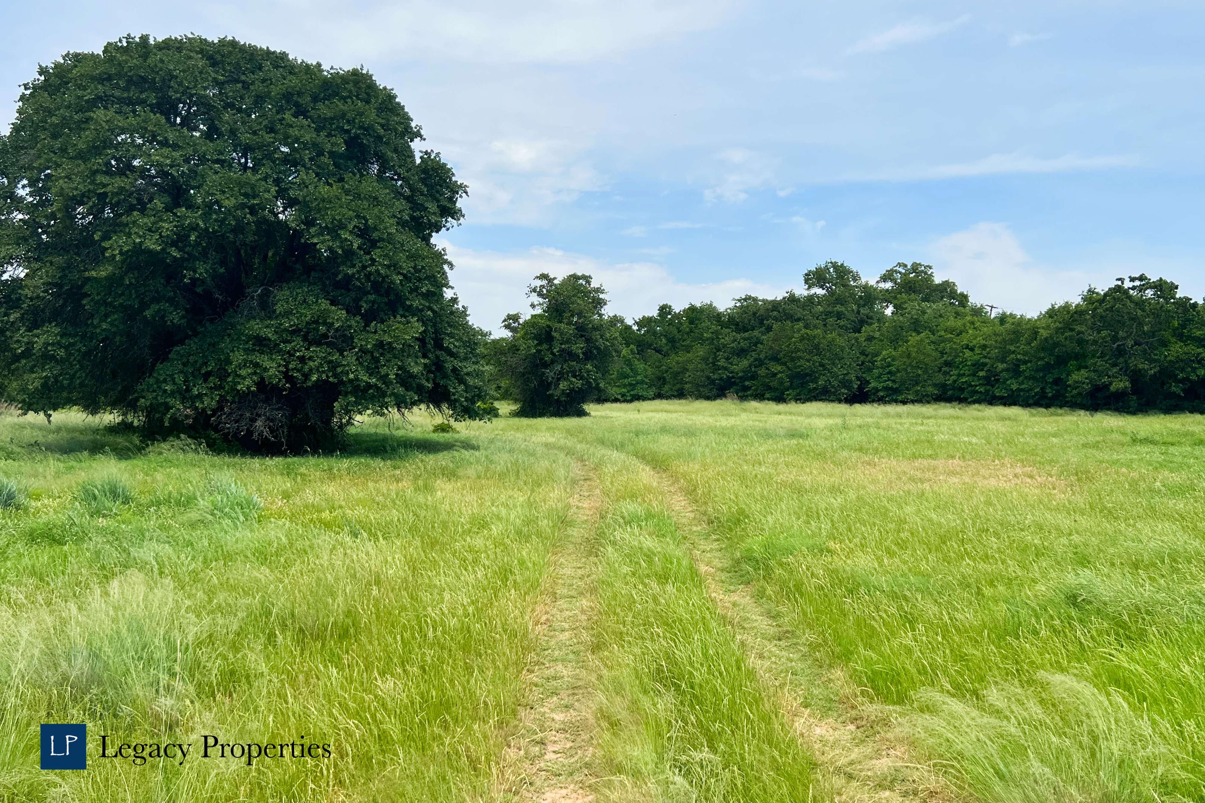 Bowie, Montague County, TX Farms and Ranches, Recreational Property for