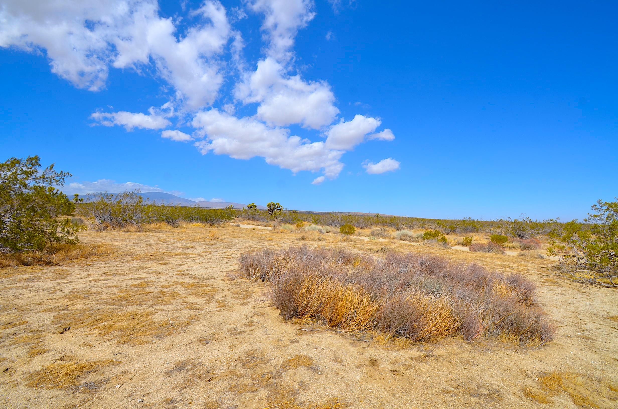Rosamond, Kern County, CA Recreational Property, Undeveloped Land