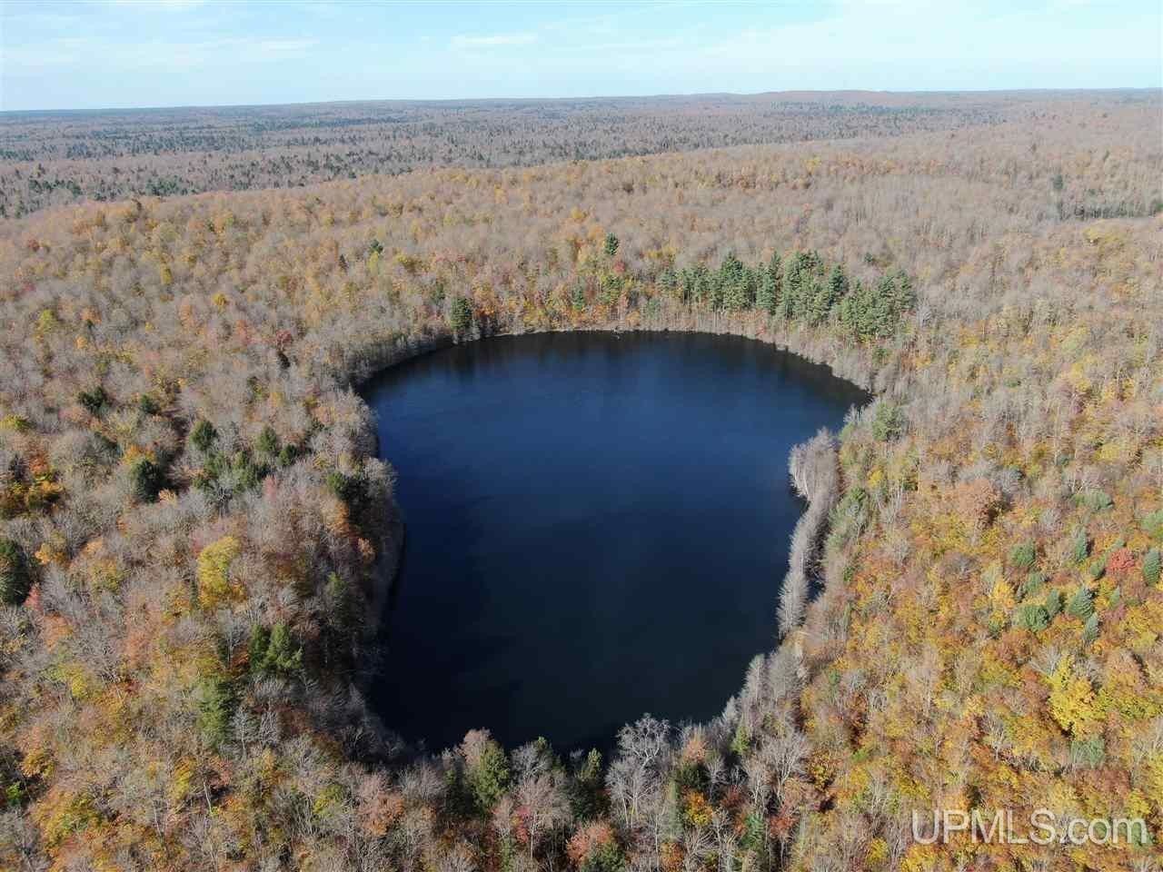 Seney, Schoolcraft County, MI Undeveloped Land, Lakefront Property