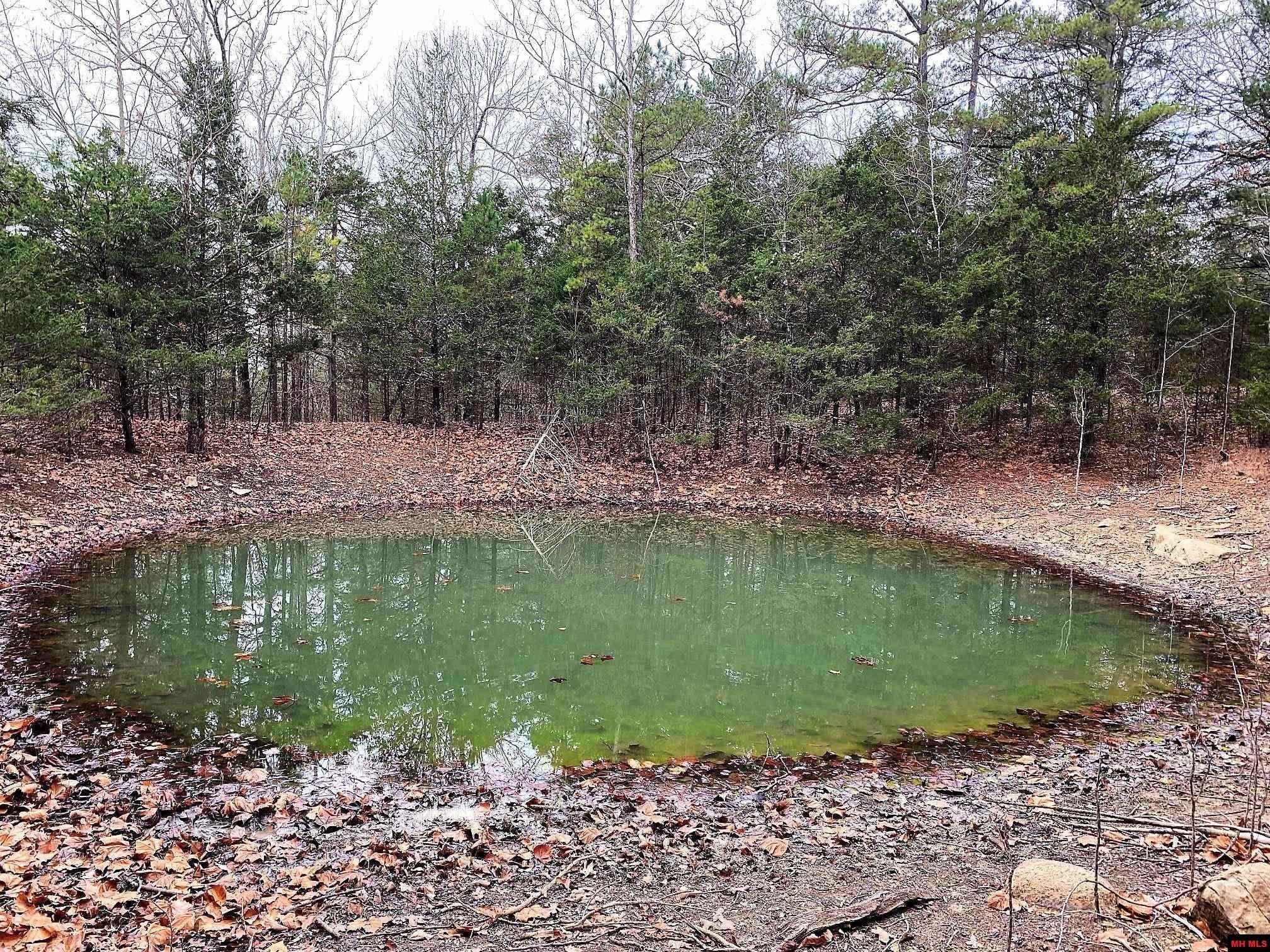 Elizabeth, Fulton County, AR Undeveloped Land for sale Property ID