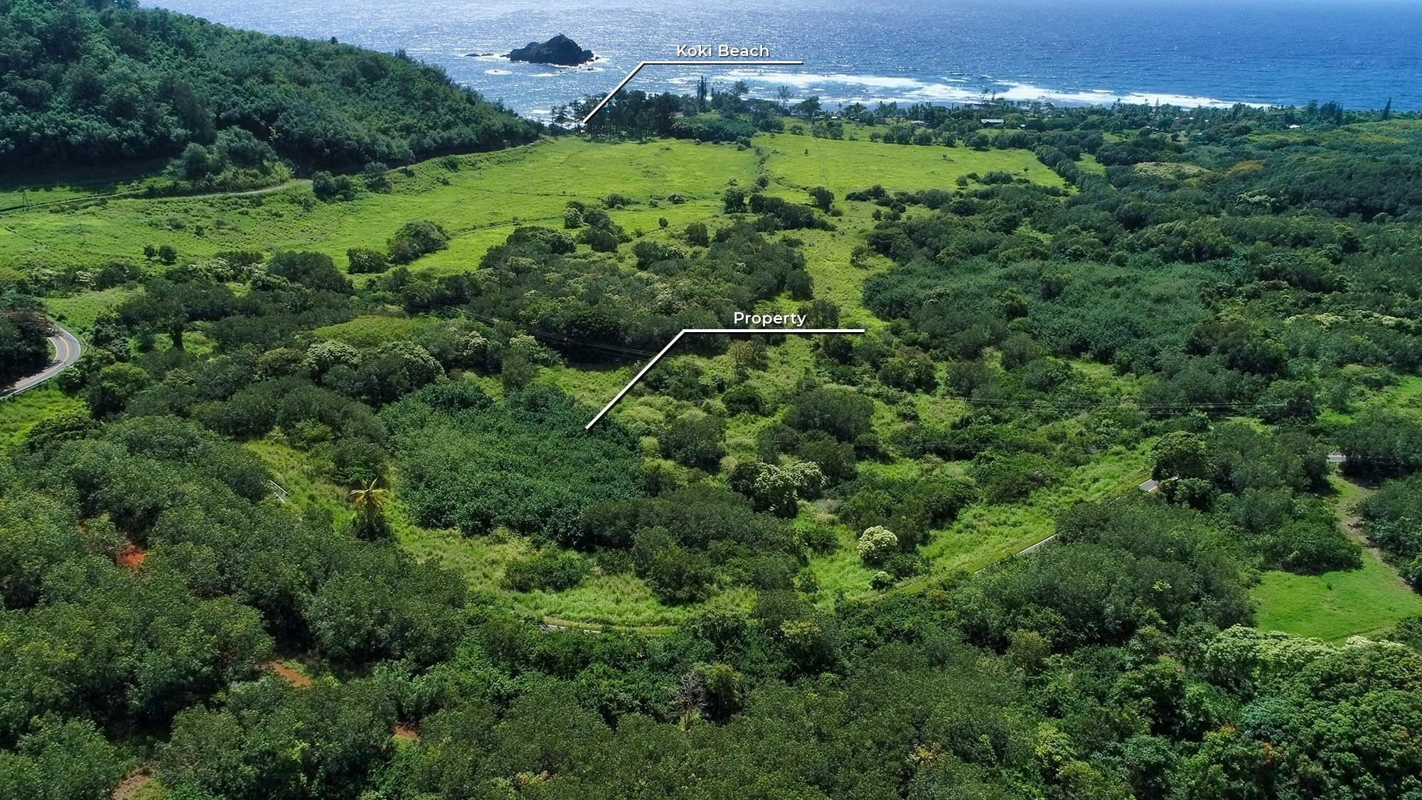 Hana, Maui County, HI Undeveloped Land, Homesites for sale Property ID