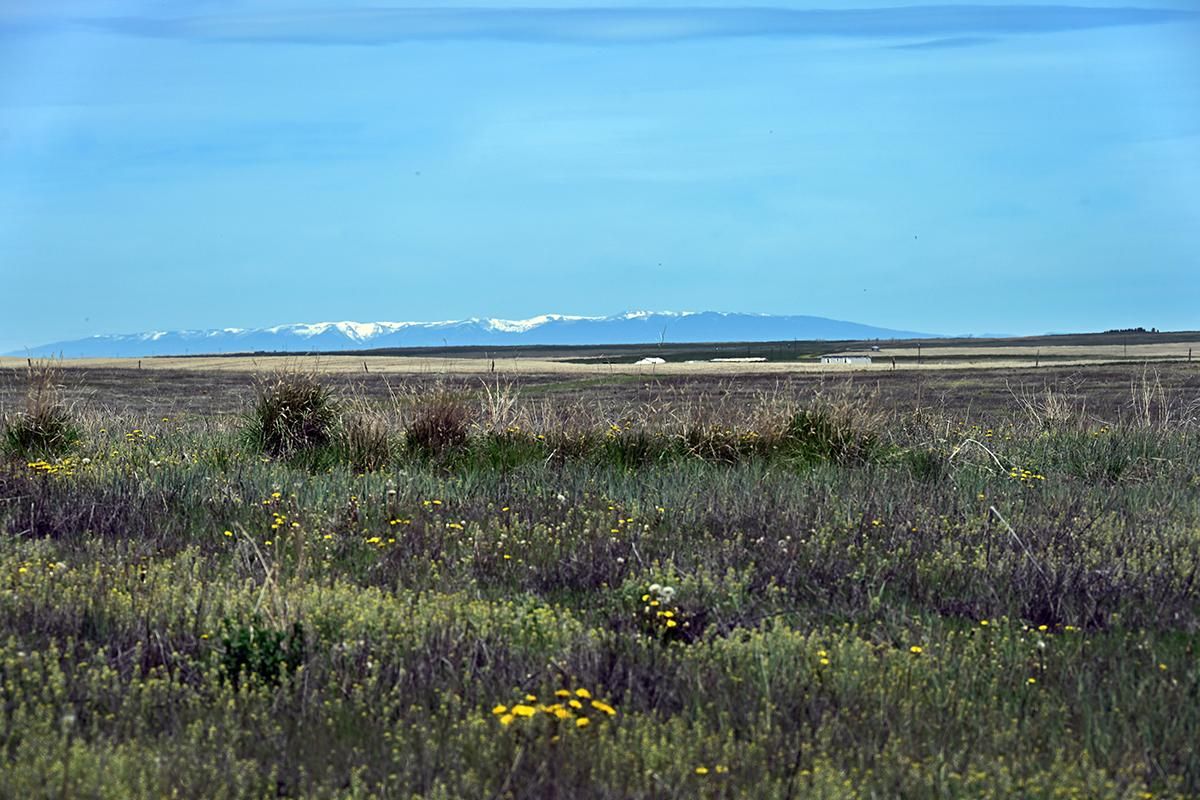 Broadview, Yellowstone County, MT Farms and Ranches, Undeveloped Land