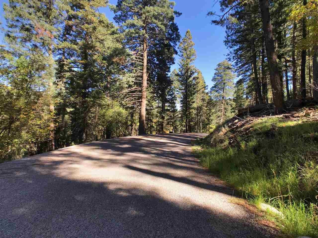 Cloudcroft, Otero County, NM Undeveloped Land, Homesites for sale