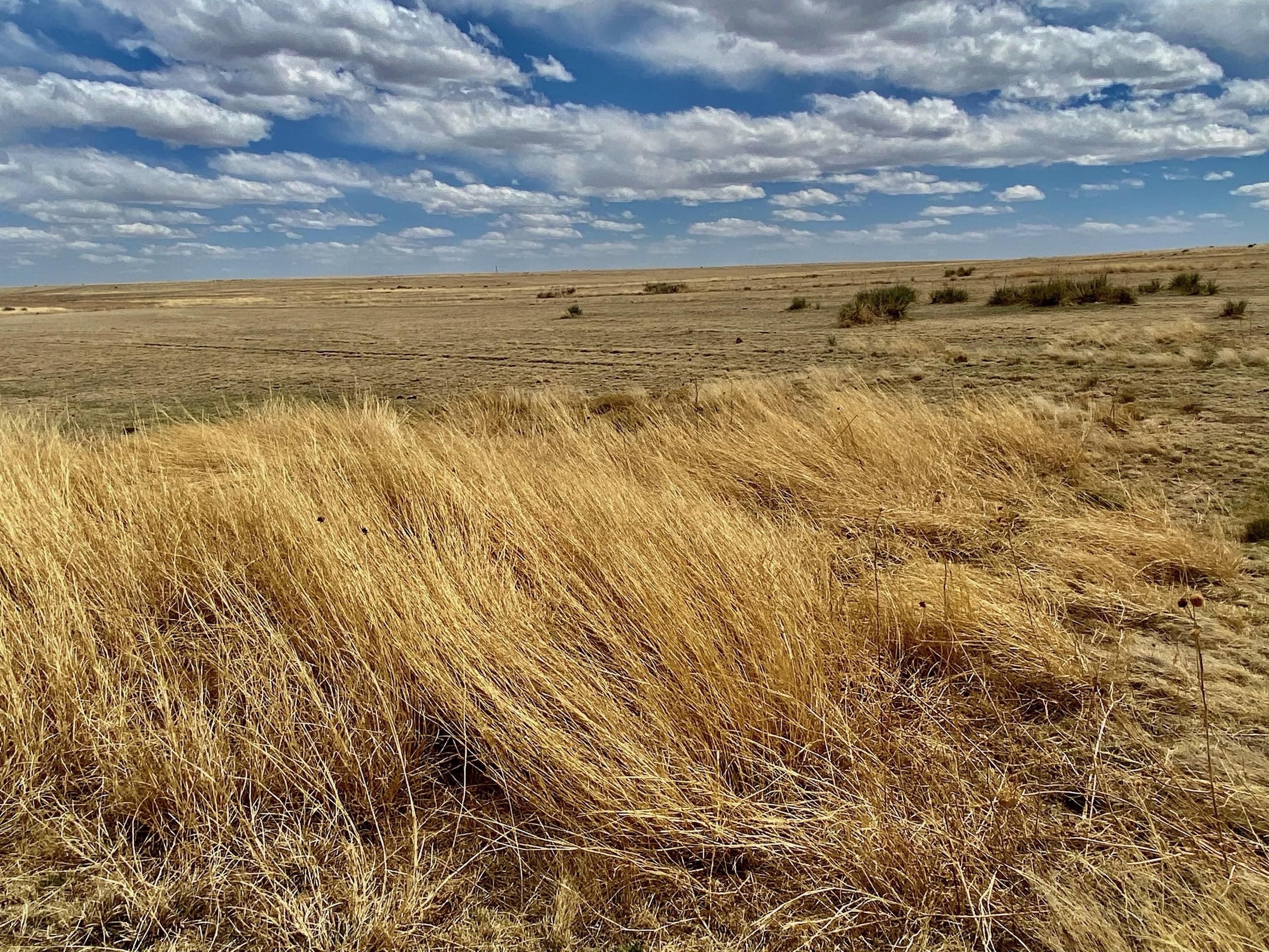 Granada, Prowers County, CO Farms and Ranches, Hunting Property for