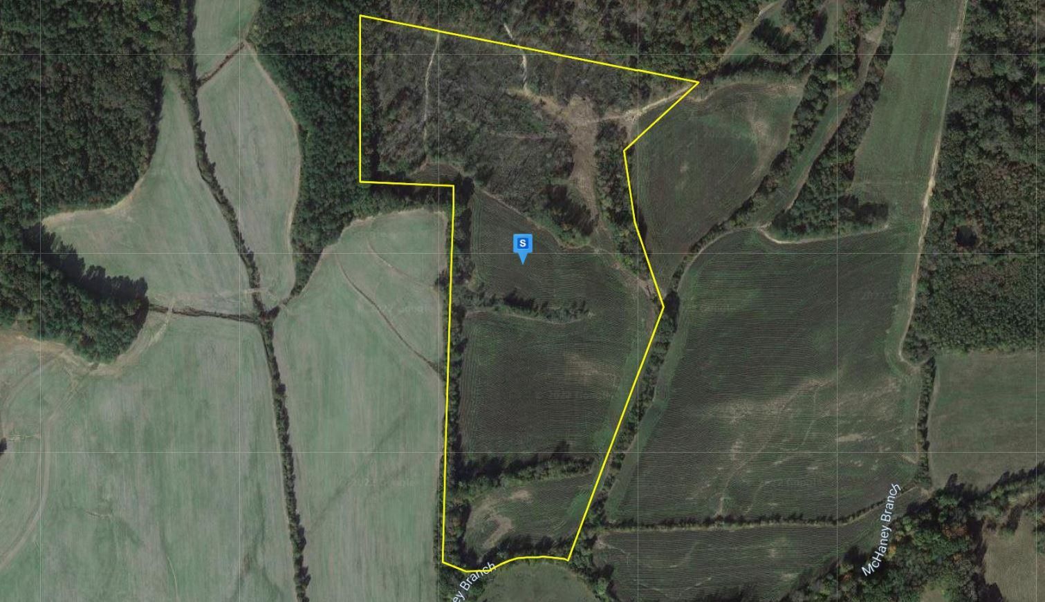 Beech Bluff, Henderson County, TN Recreational Property, Undeveloped