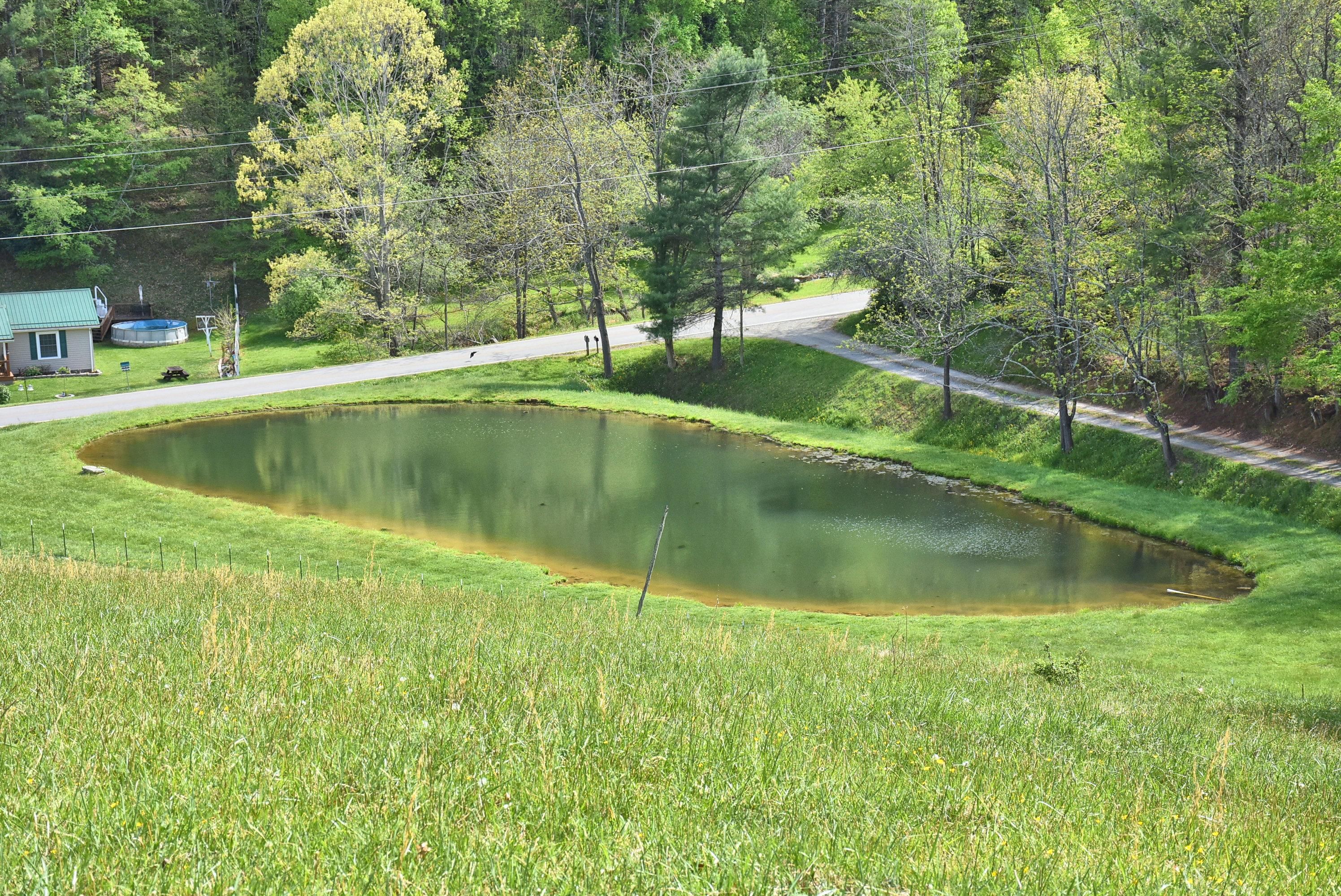 Lansing, Ashe County, NC Farms and Ranches, Horse Property for sale